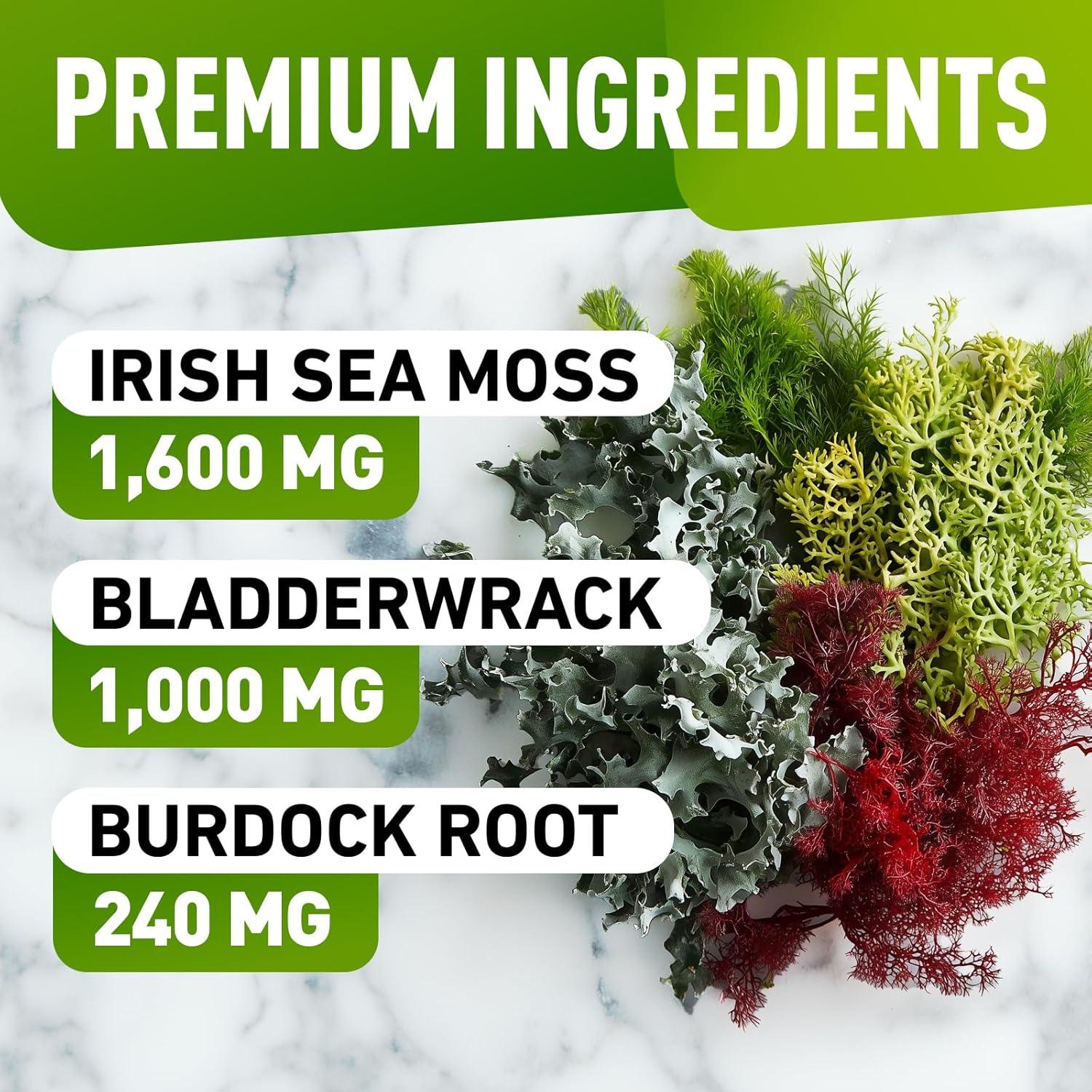 Gomitas de Musgo Marino BioVit - 60 Gomitas Veganas Sin Azúcar