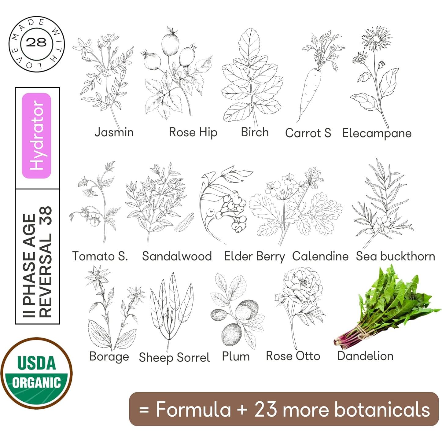 Hidratante Facial Orgánico II Phases 120 ML - Organic28+