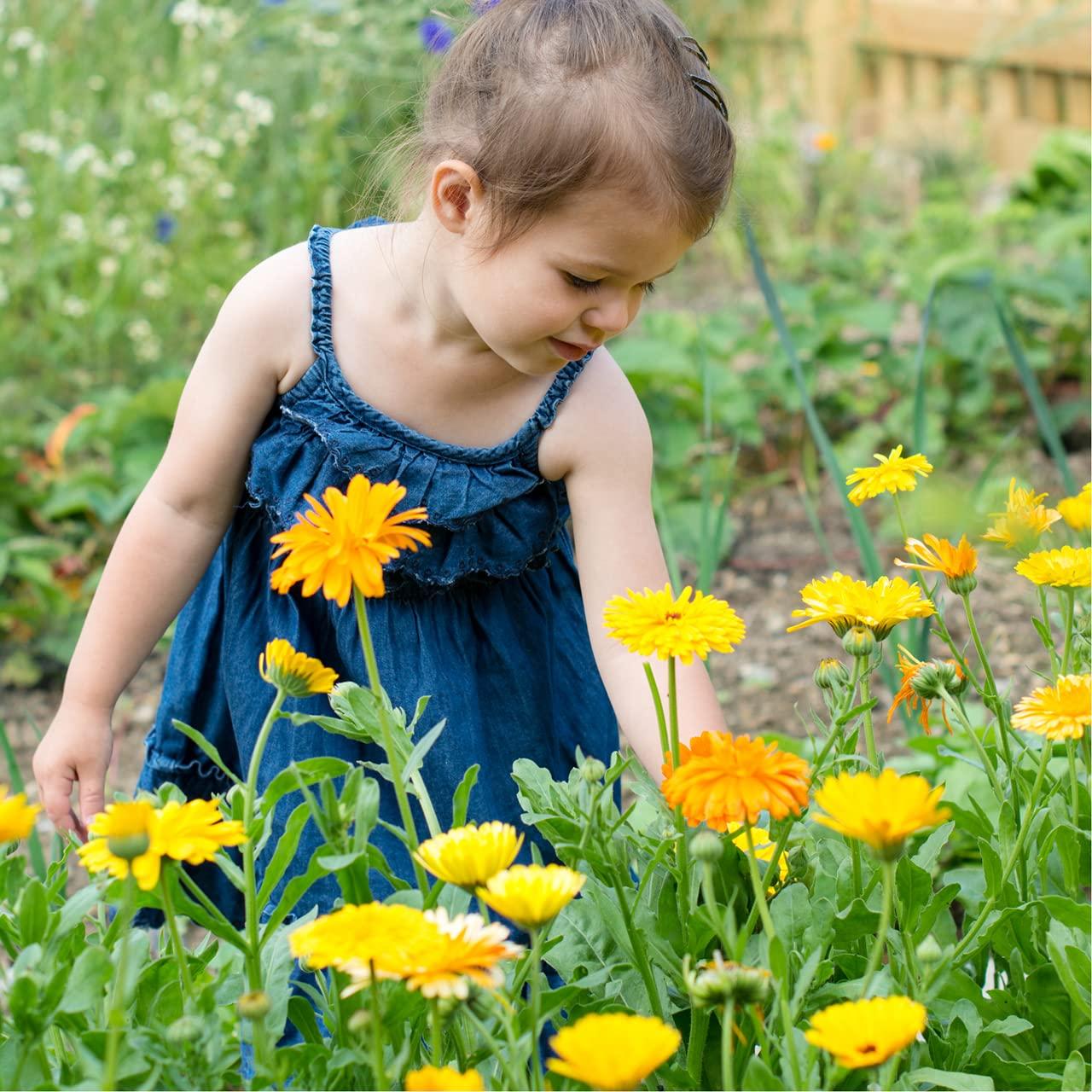 Mantequilla de Caléndula Safflower Safari 226g - Hipoalergénica