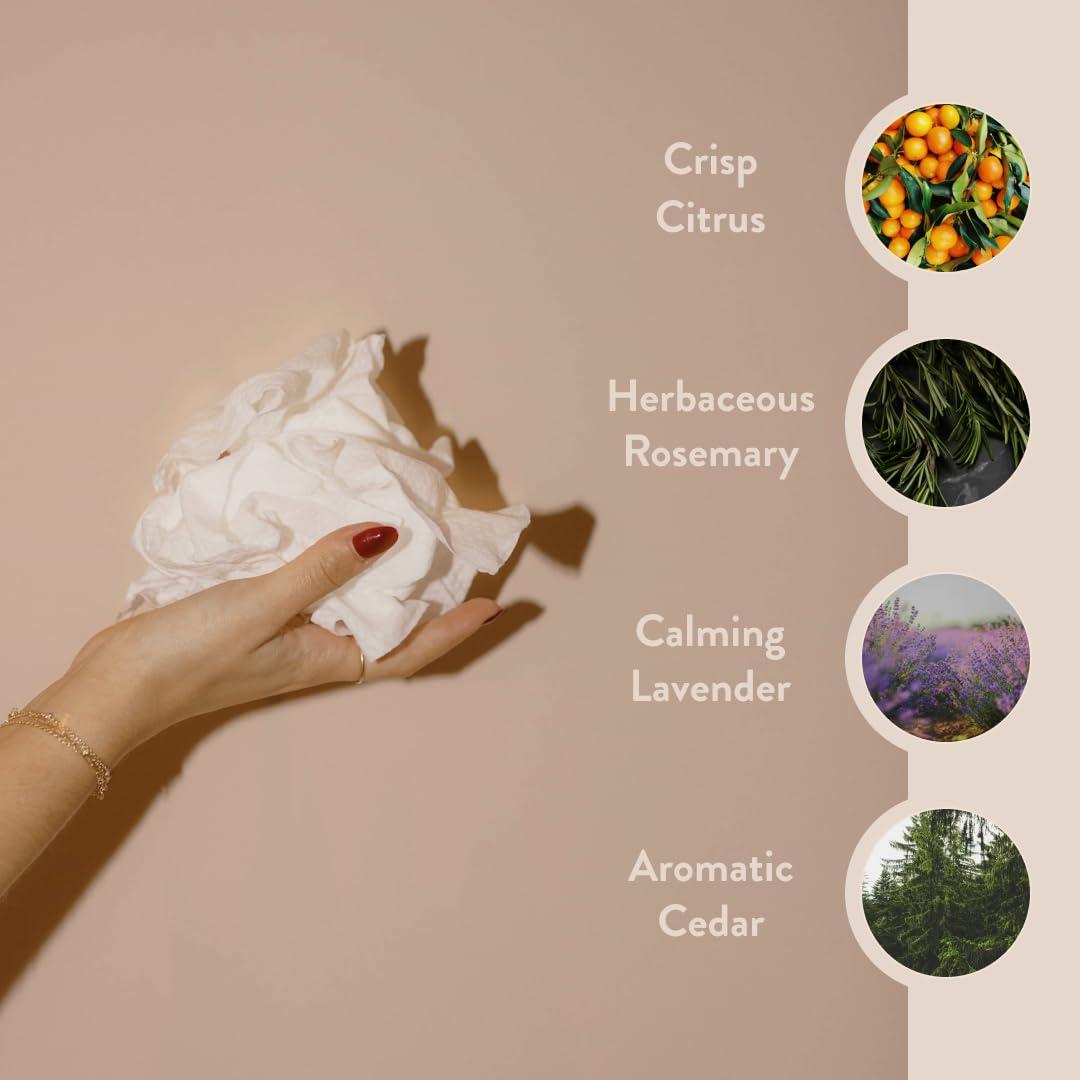 Toallitas Limpiadoras PAUME para Manos y Cuerpo - 20 Unidades