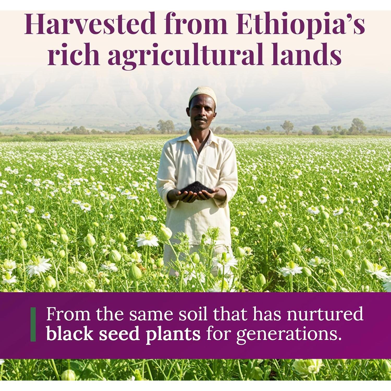 Aceite de Semilla Negra BioNatal 140ml - 4.64% Timoquinona