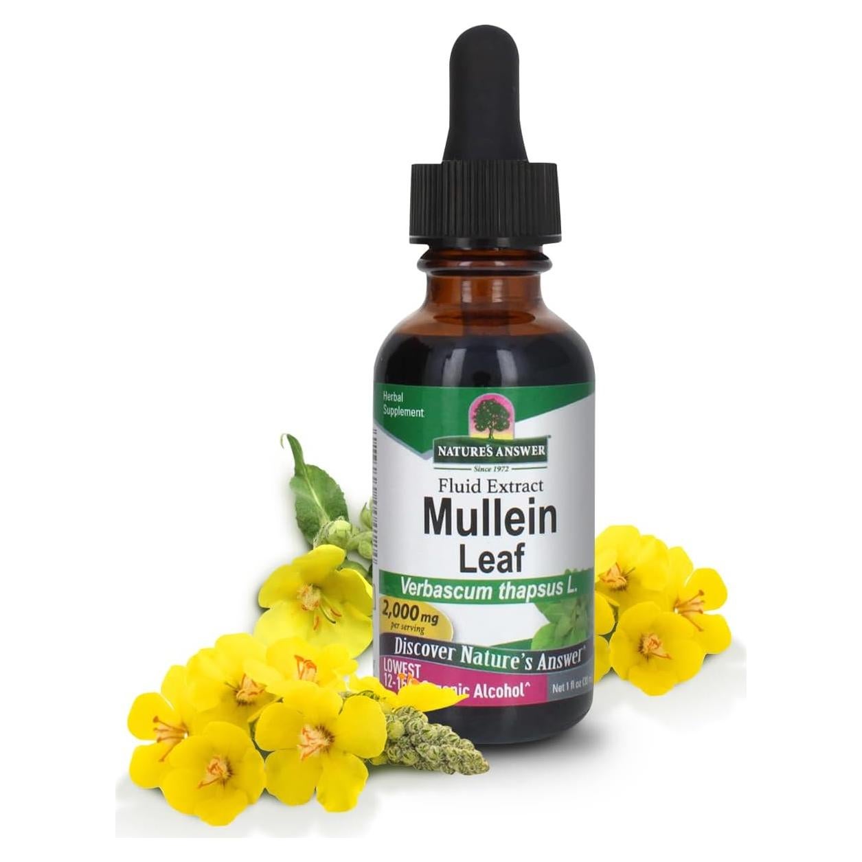 Extracto de Hoja de Mullein Nature's Answer 30 ml - Soporte Respiratorio