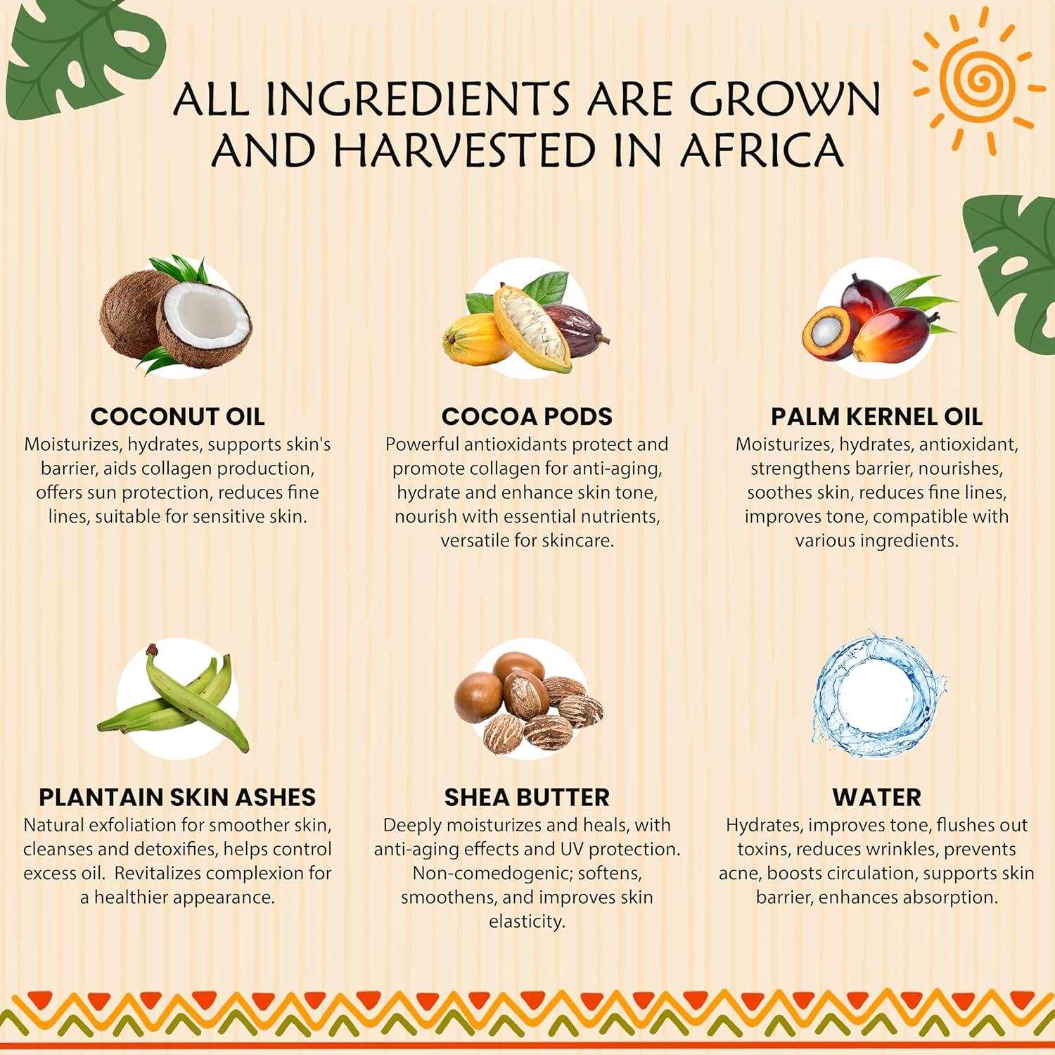 Jabón Negro Africano Plant Guru 227 g - 100% Natural para Piel