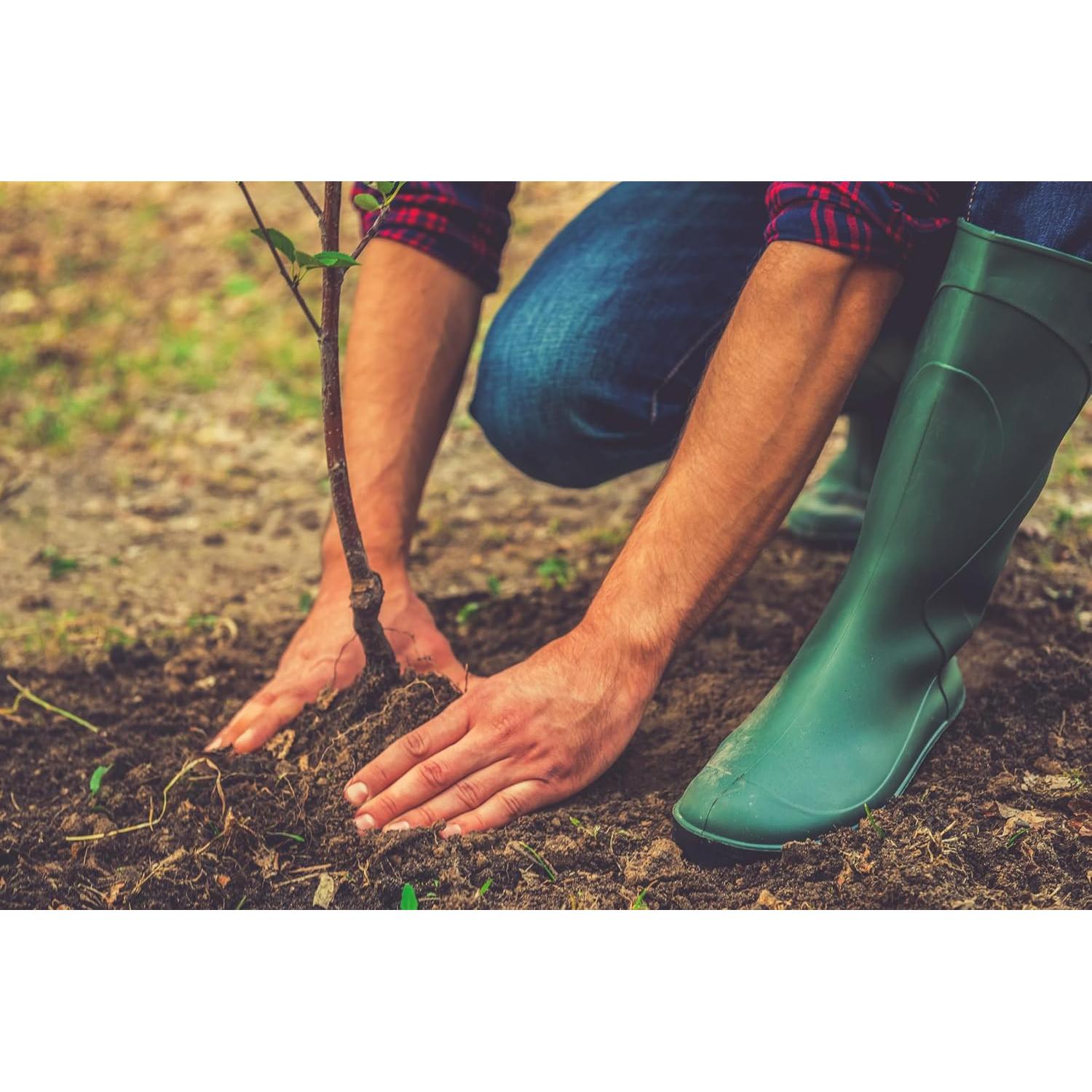 Juego de Jabón Artesanal de Leche de Cabra BOGUE No.11 - 170g