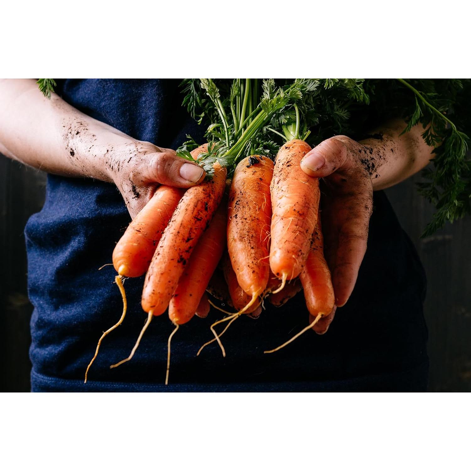 Juego de Jabón Artesanal de Leche de Cabra BOGUE No.11 - 170g