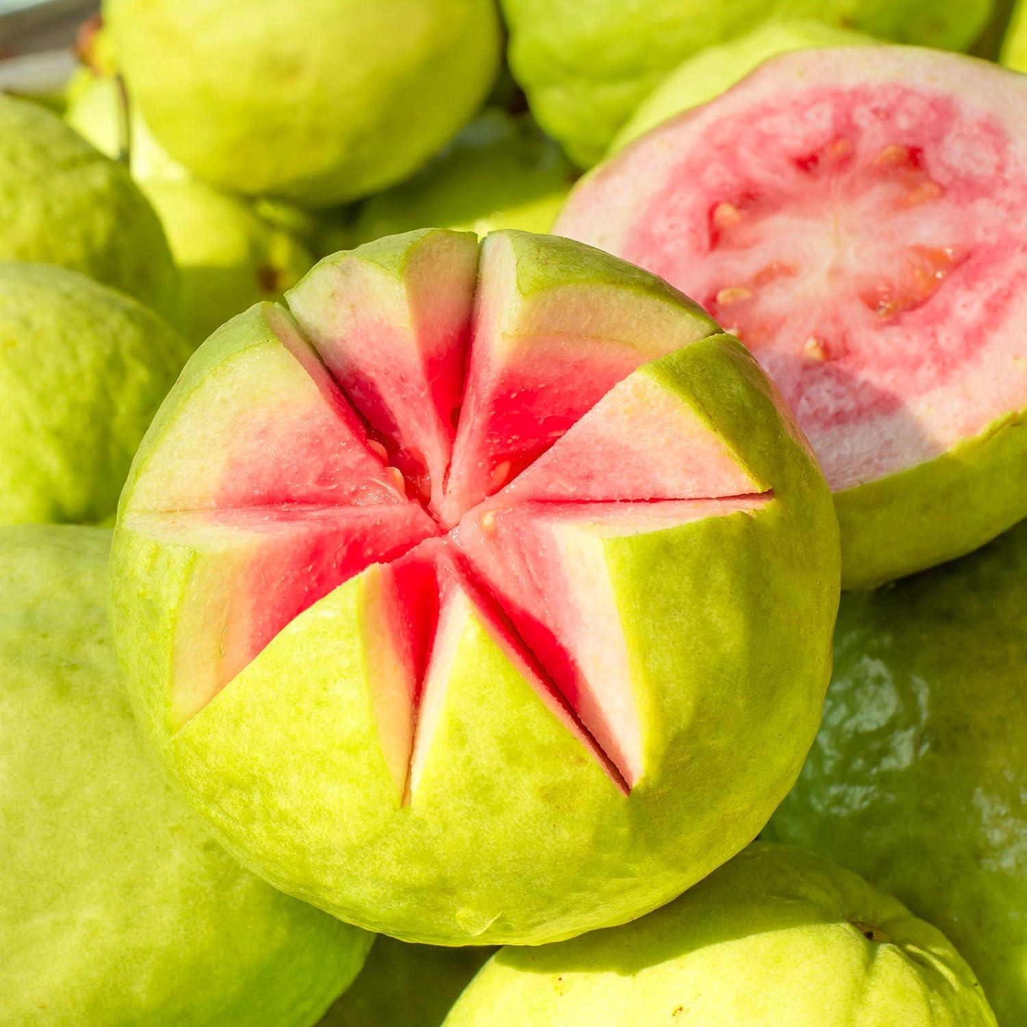 Manteca Corporal Vegana Petal Fresh Nectar de Guayaba 236 g