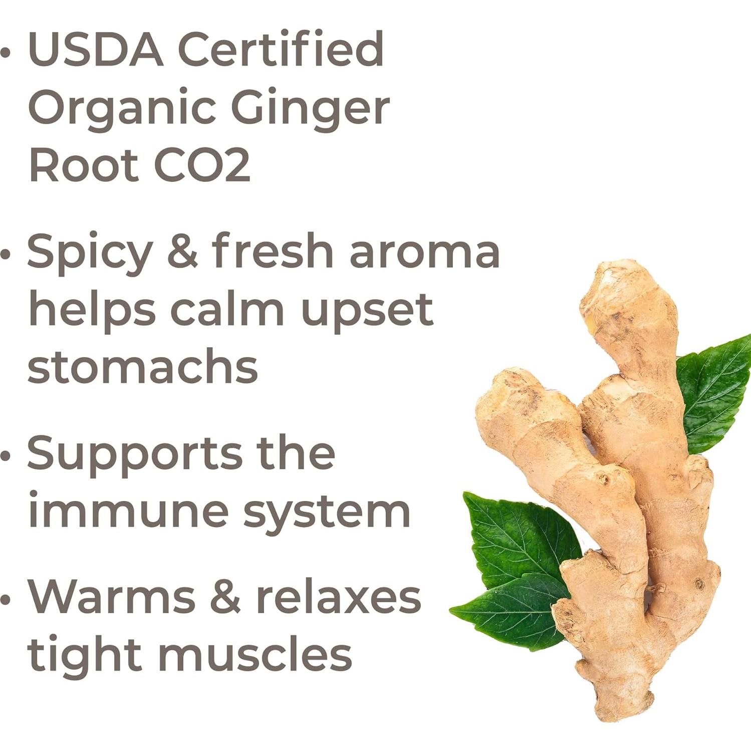 Aceite Esencial de Jengibre CO2 Orgánico 10 mL - Plant Therapy