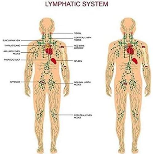 Paquete de 3 Aceites de Masaje de Jengibre HuaQing 90ml