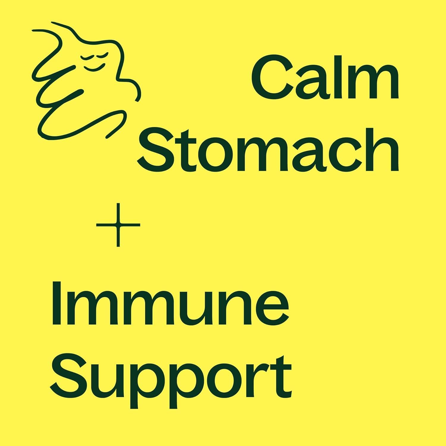 Cápsulas de Jengibre Plant Therapy 120 Unidades - Salud Digestiva