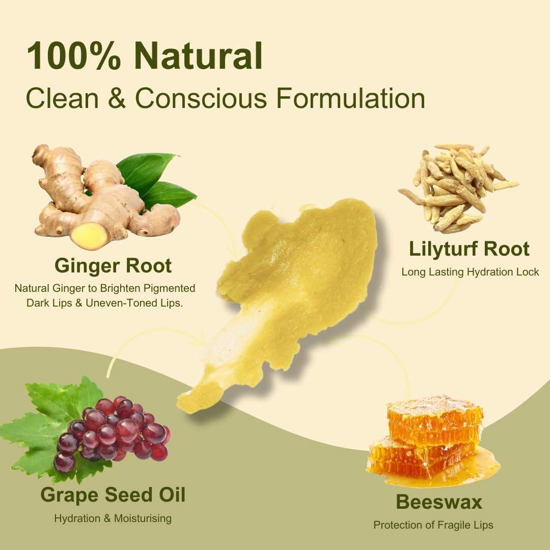 Bálsamo Labial Natural Herbbies Jengibre 20g Hidratante