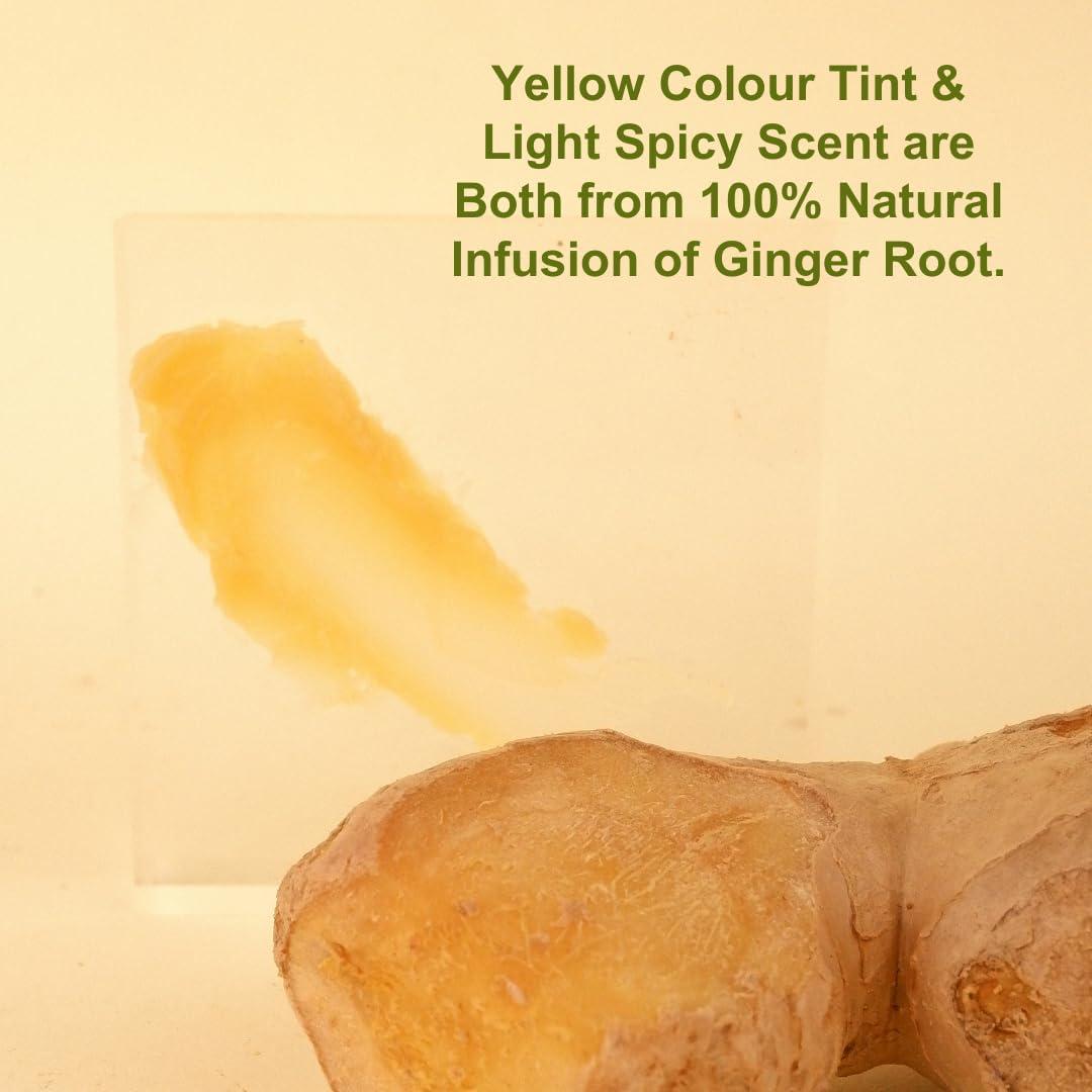 Bálsamo Labial Natural Herbbies Jengibre 20g Hidratante