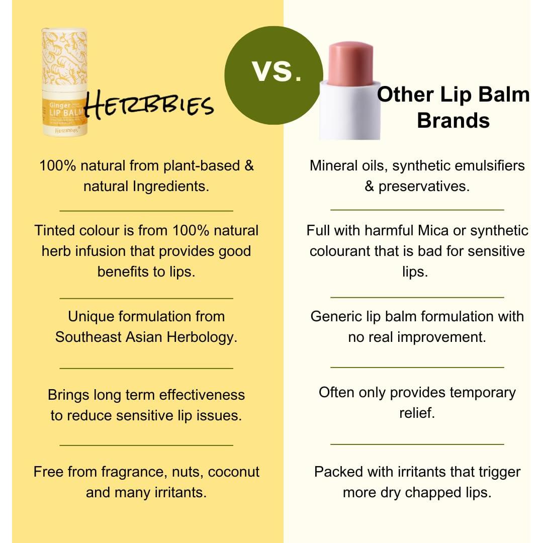 Bálsamo Labial Natural Herbbies Jengibre 20g Hidratante