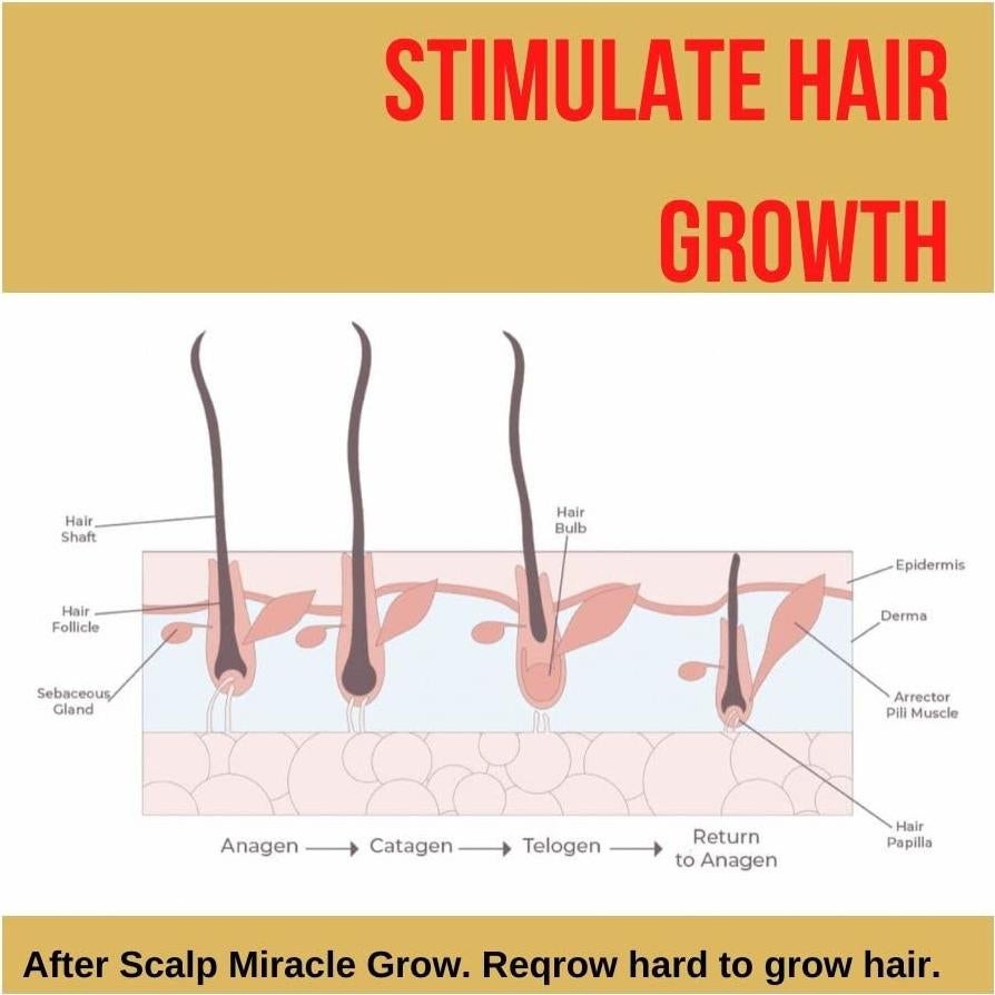 Manteca de Chebe Pride and Beauty 81g - Crecimiento Cabello