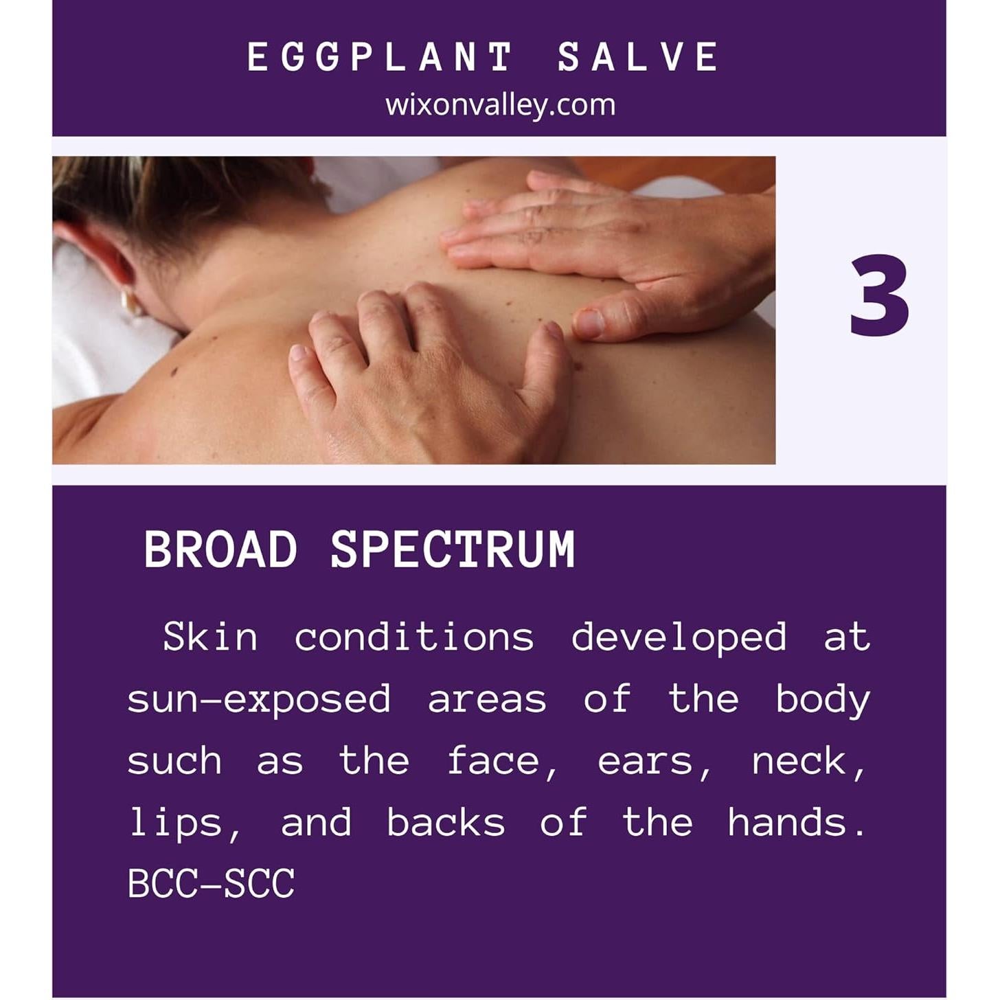 Conjunto de Cuidado de Piel Berenjena - Ungüento, Aceite y Tintura