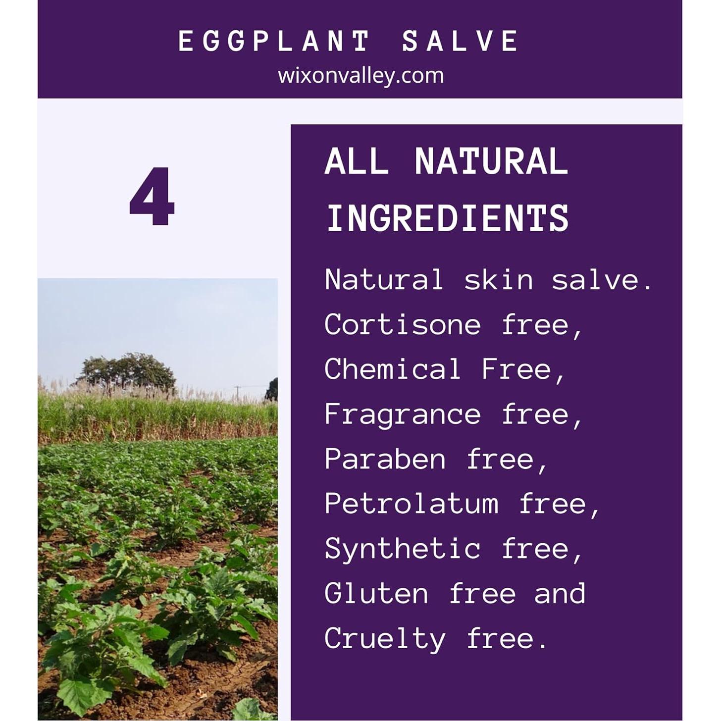 Conjunto de Cuidado de Piel Berenjena - Ungüento, Aceite y Tintura