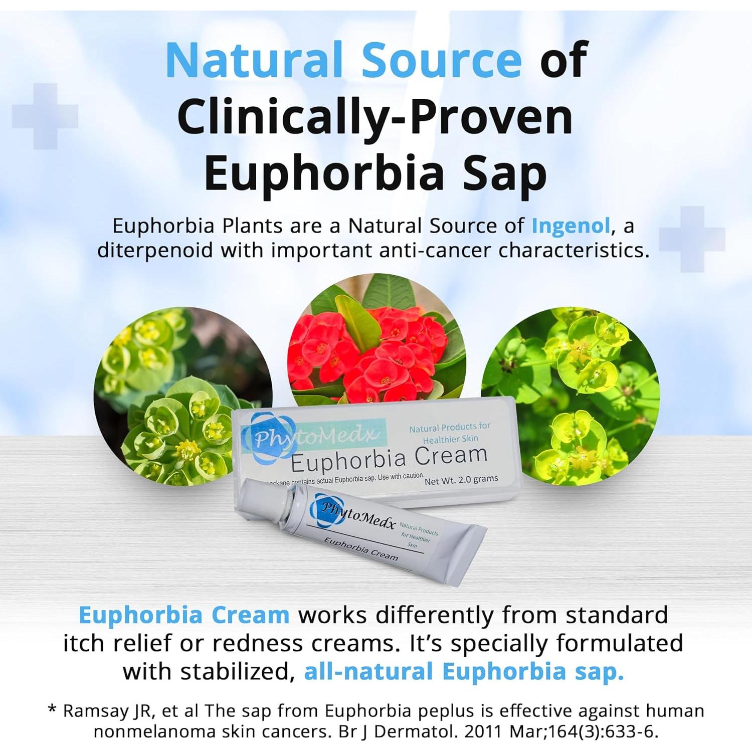 Crema de Euphorbia PhytoMedx 2g - Cuidado Piel Dañada Sol