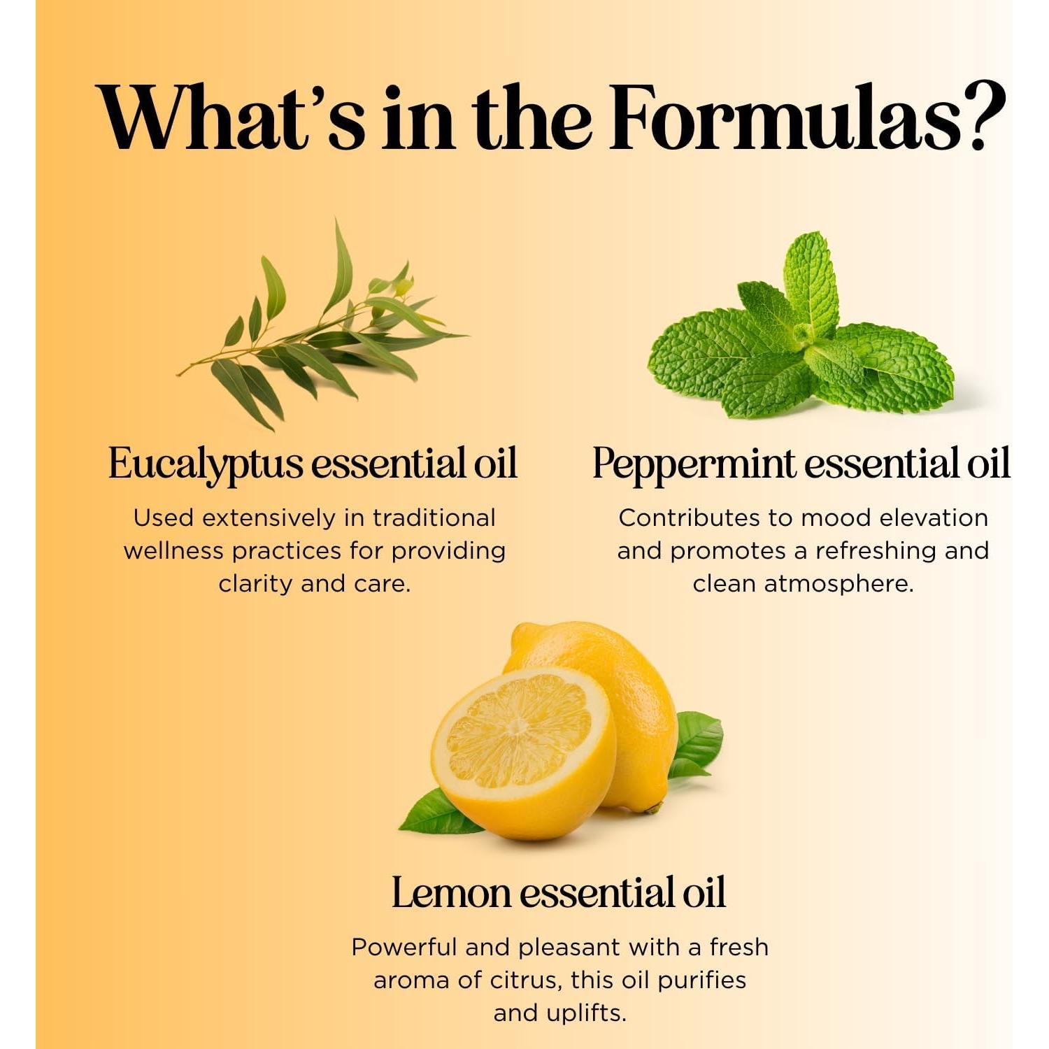 Set de Aceites Esenciales Roll-On Maple Holistics 3x9.8ml