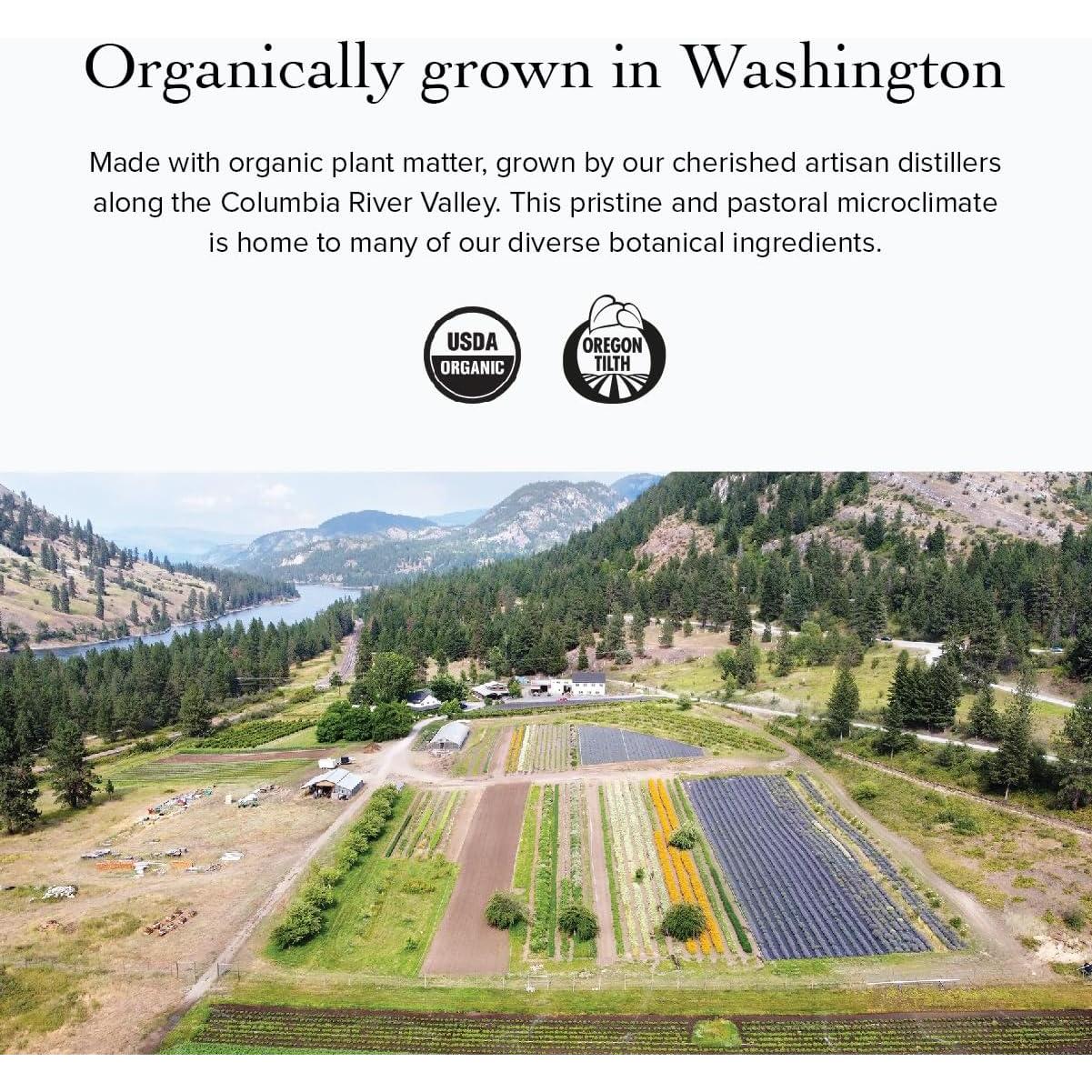 Tónico Facial Orgánico Evanhealy Immortelle 113.4 ml