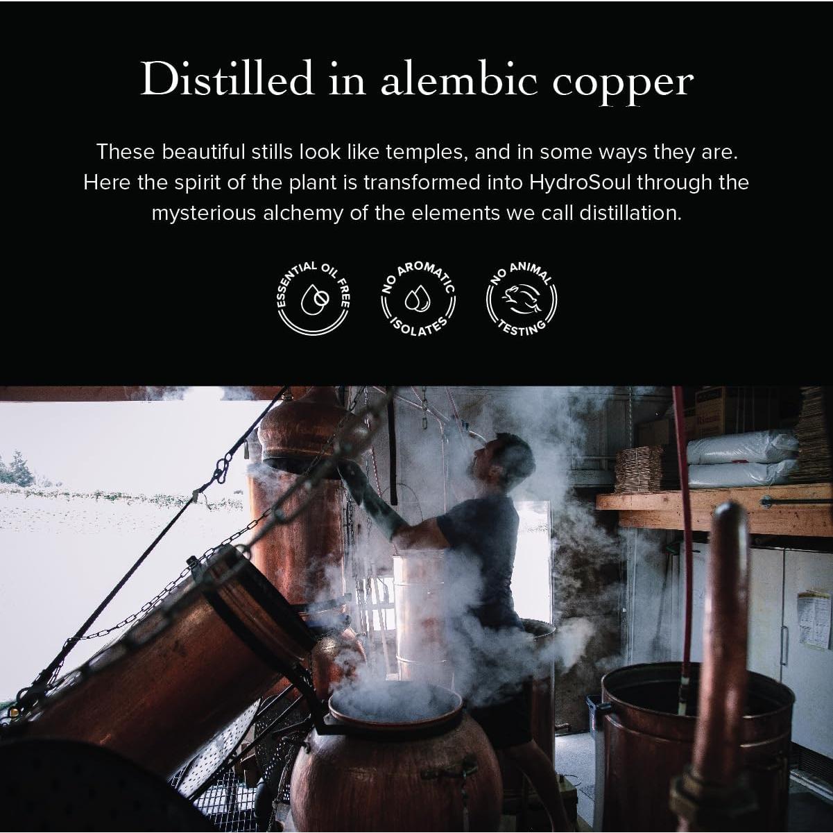 Tónico Facial Orgánico Evanhealy Immortelle 113.4 ml