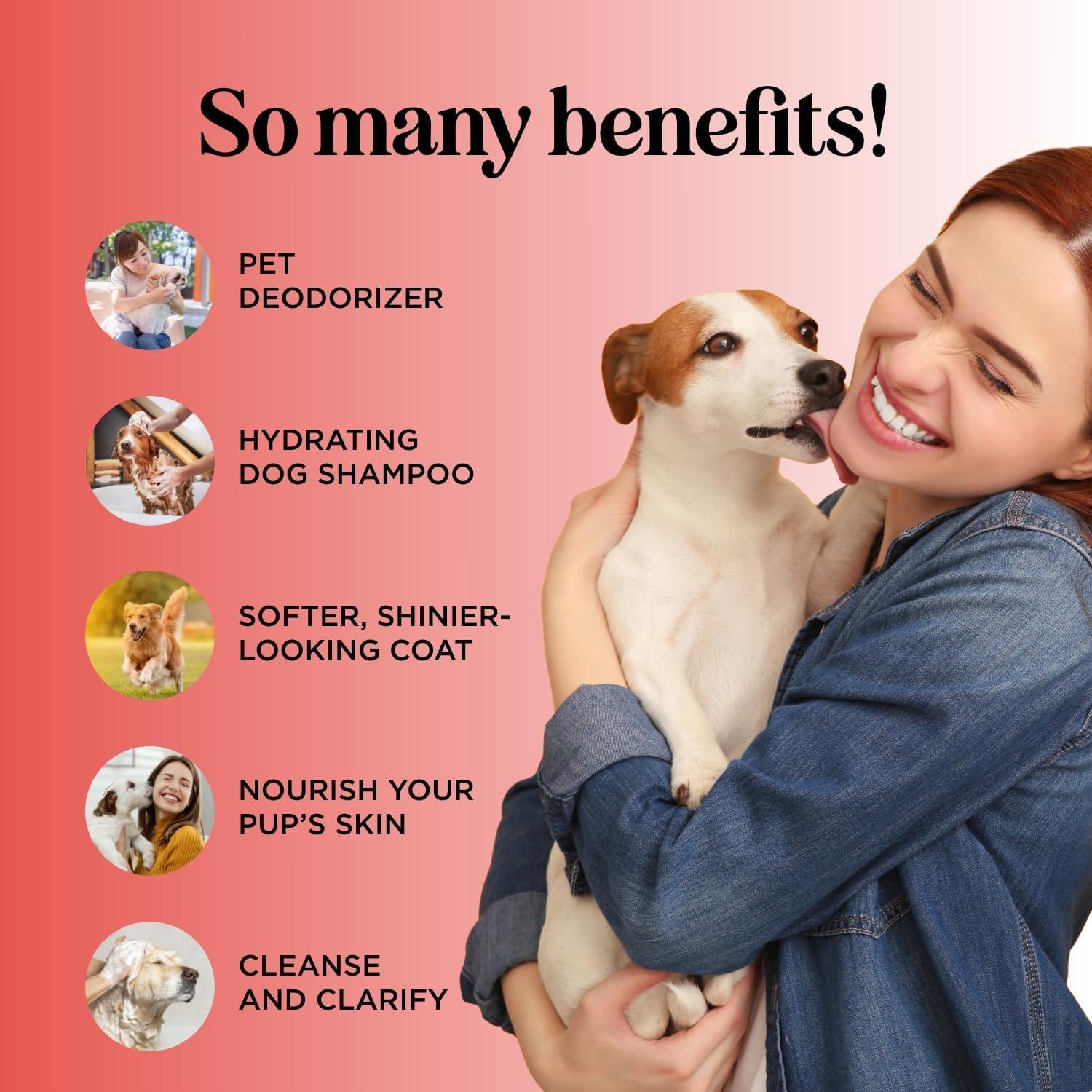 Champú Suave de Avena Maple Holistics 236 ml Hidratante