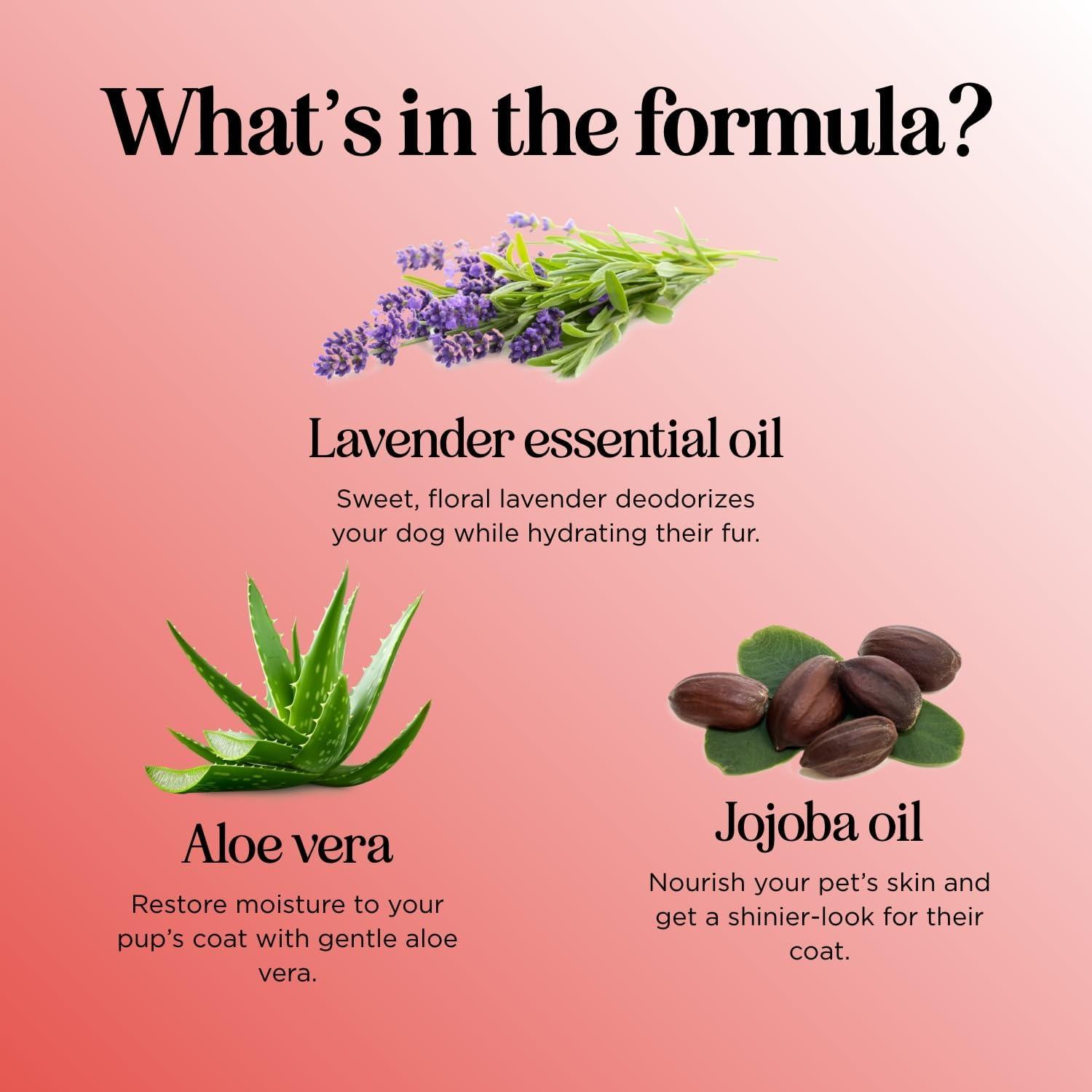 Champú Suave de Avena Maple Holistics 236 ml Hidratante