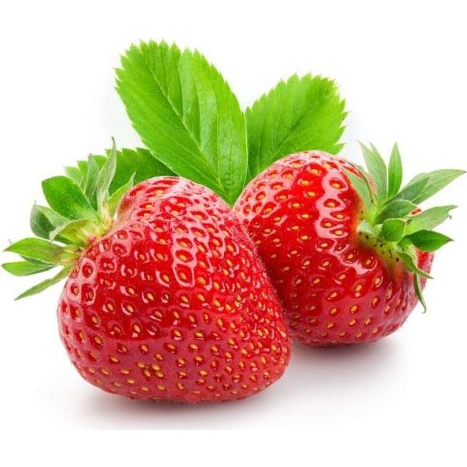 Aceite de Semilla de Fresa Dr Joe Lab 59 ml - Hidratante Natural