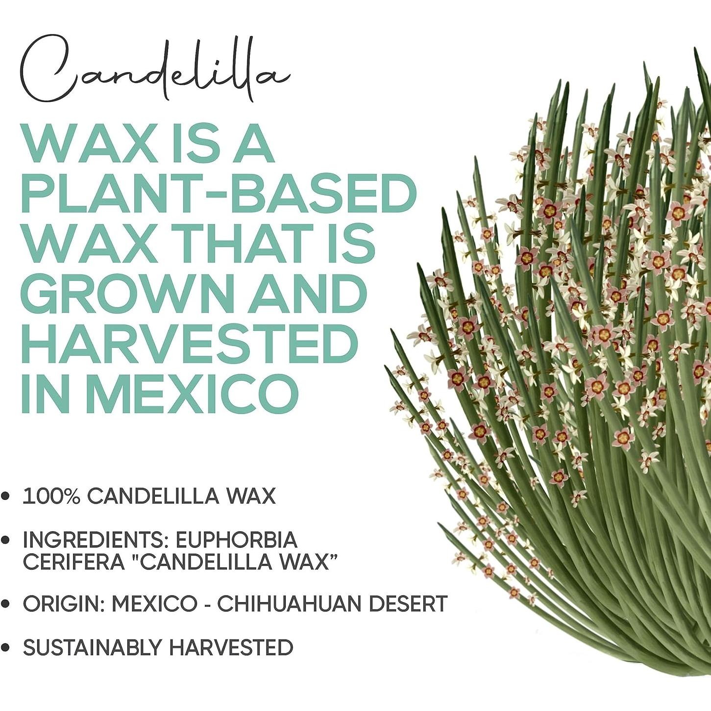 Pellets de Cera de Candelilla 227 g Plant Guru - Vegana y Natural