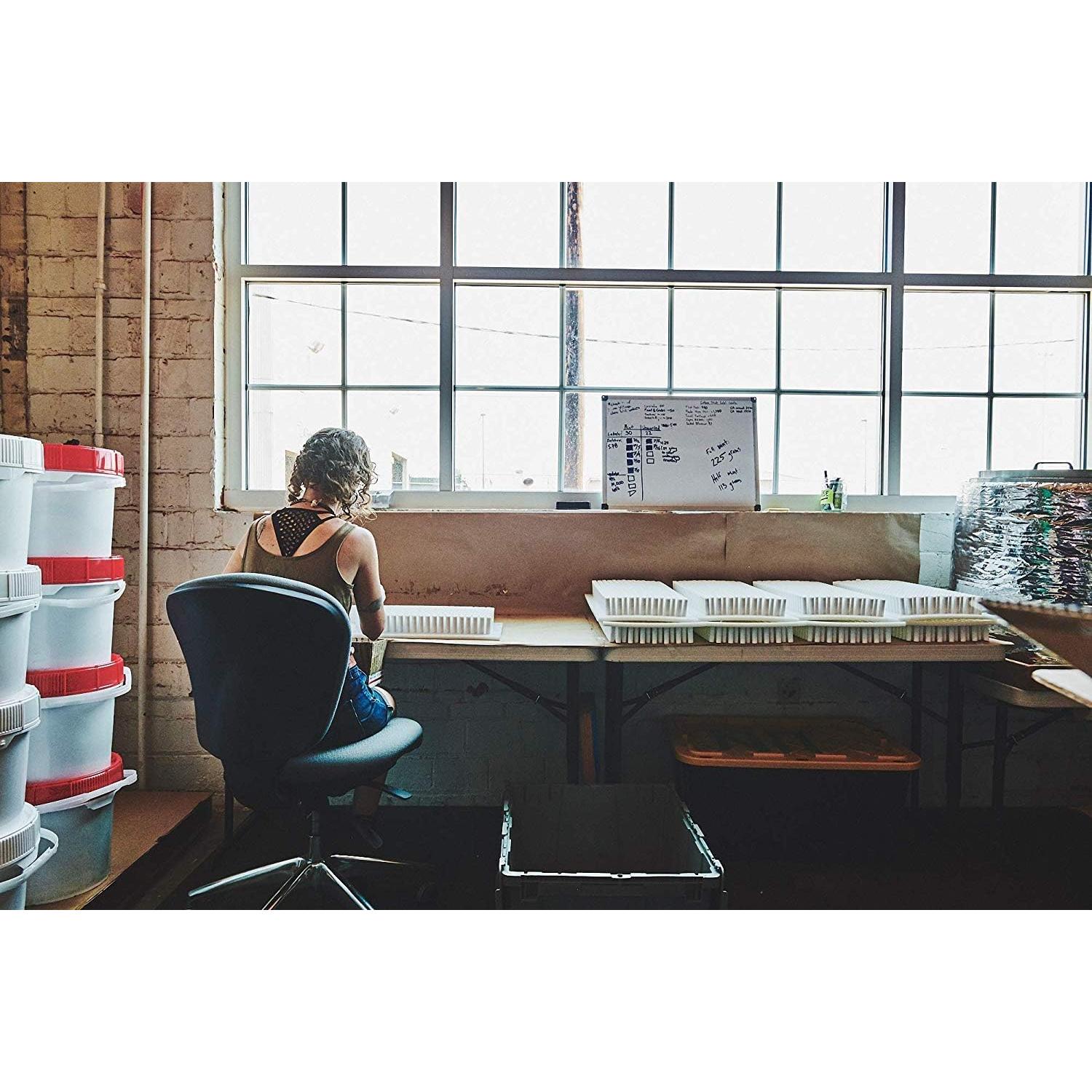 Bálsamo Labial Natural Portland Bee Balm Jardín de Rosas 30g