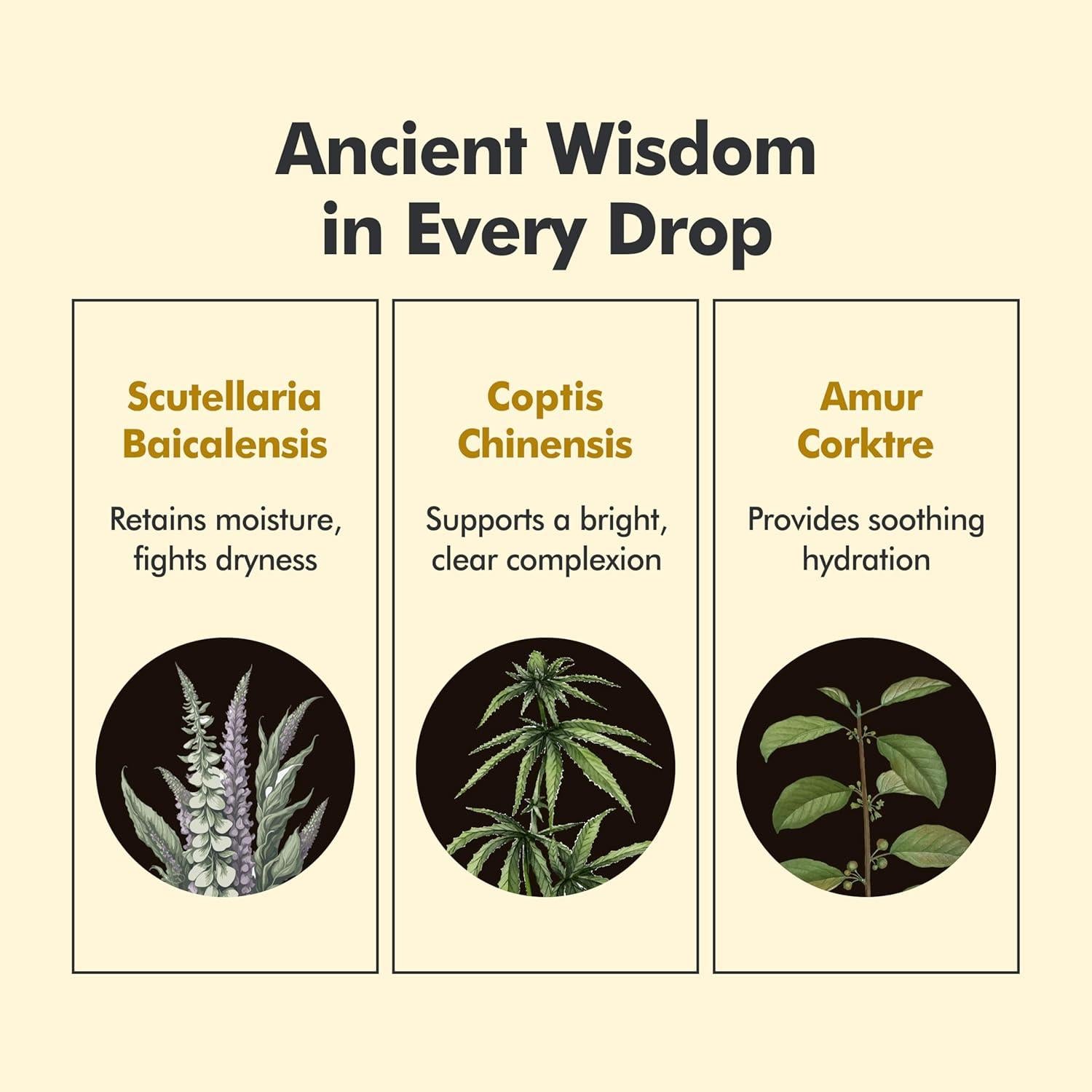 Crema Hidratante Clásica Origen 50ml - Cuidado Facial Coreano