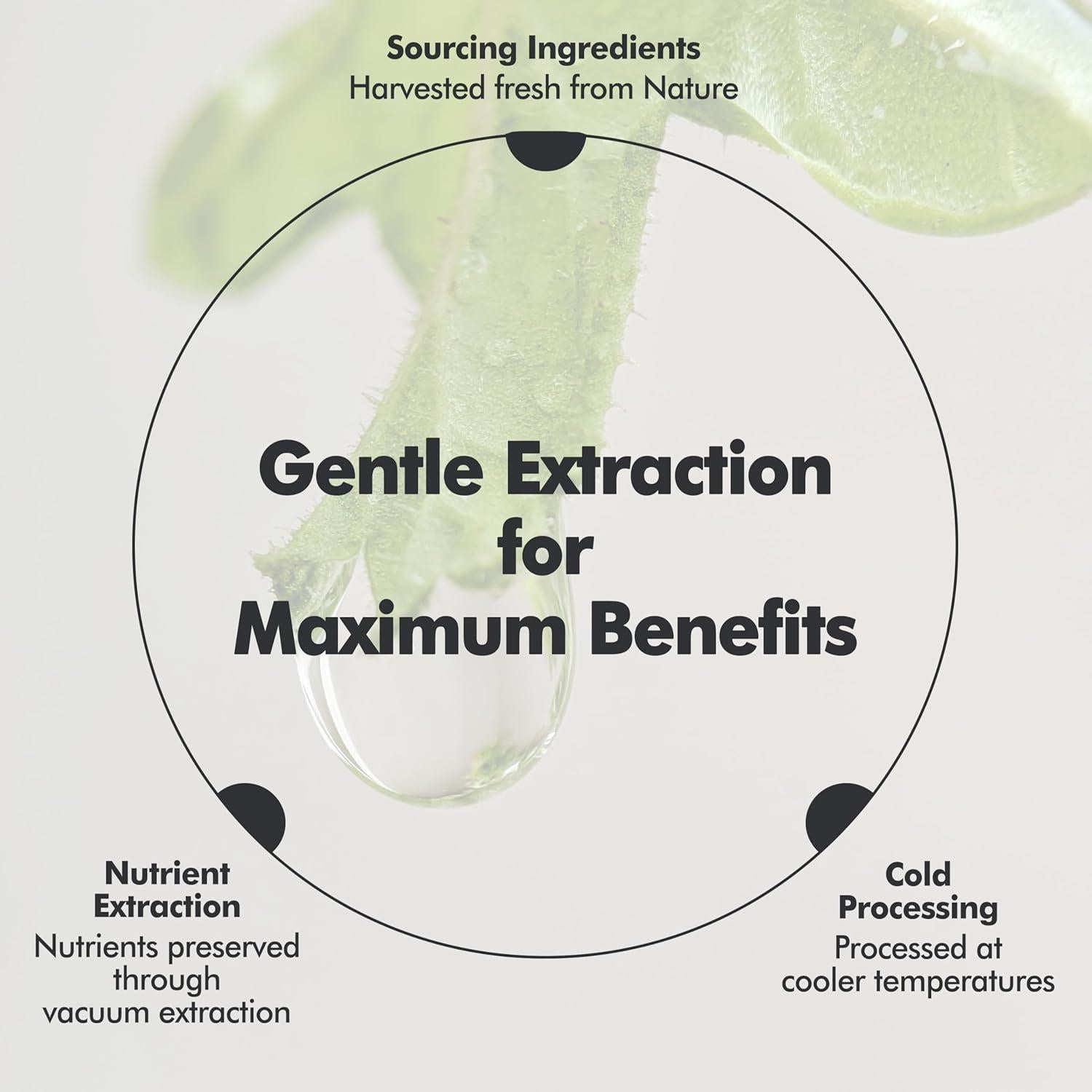 Crema Hidratante Clásica Origen 50ml - Cuidado Facial Coreano