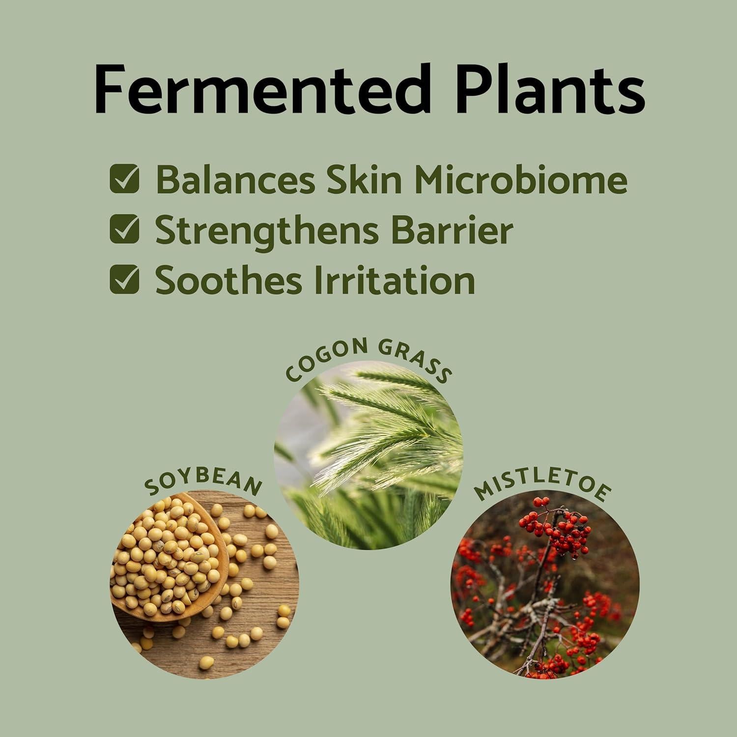 Mascarilla Nocturna Hidratante iUNIK Propolis 60 ml Vegana