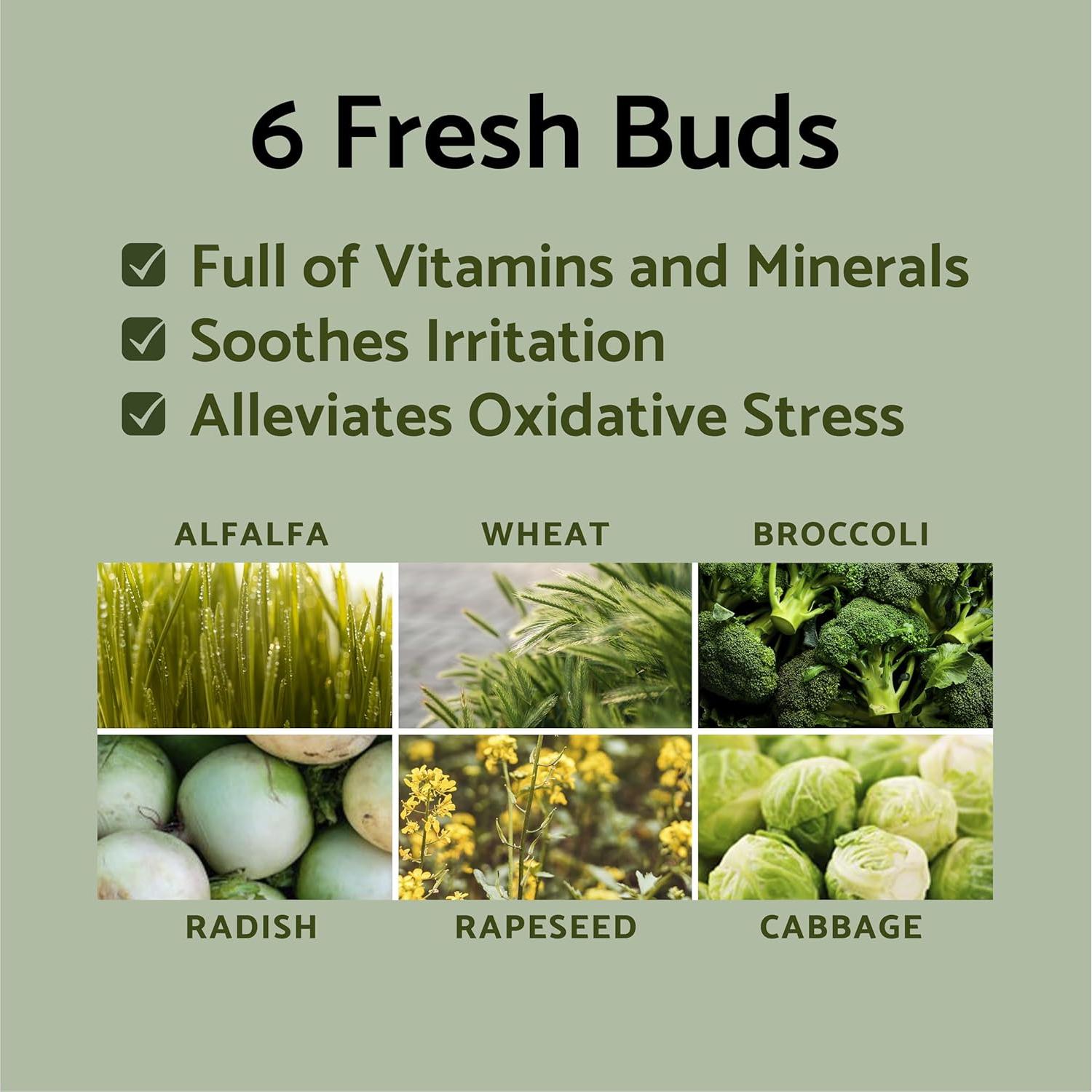 Mascarilla Nocturna Hidratante iUNIK Propolis 60 ml Vegana