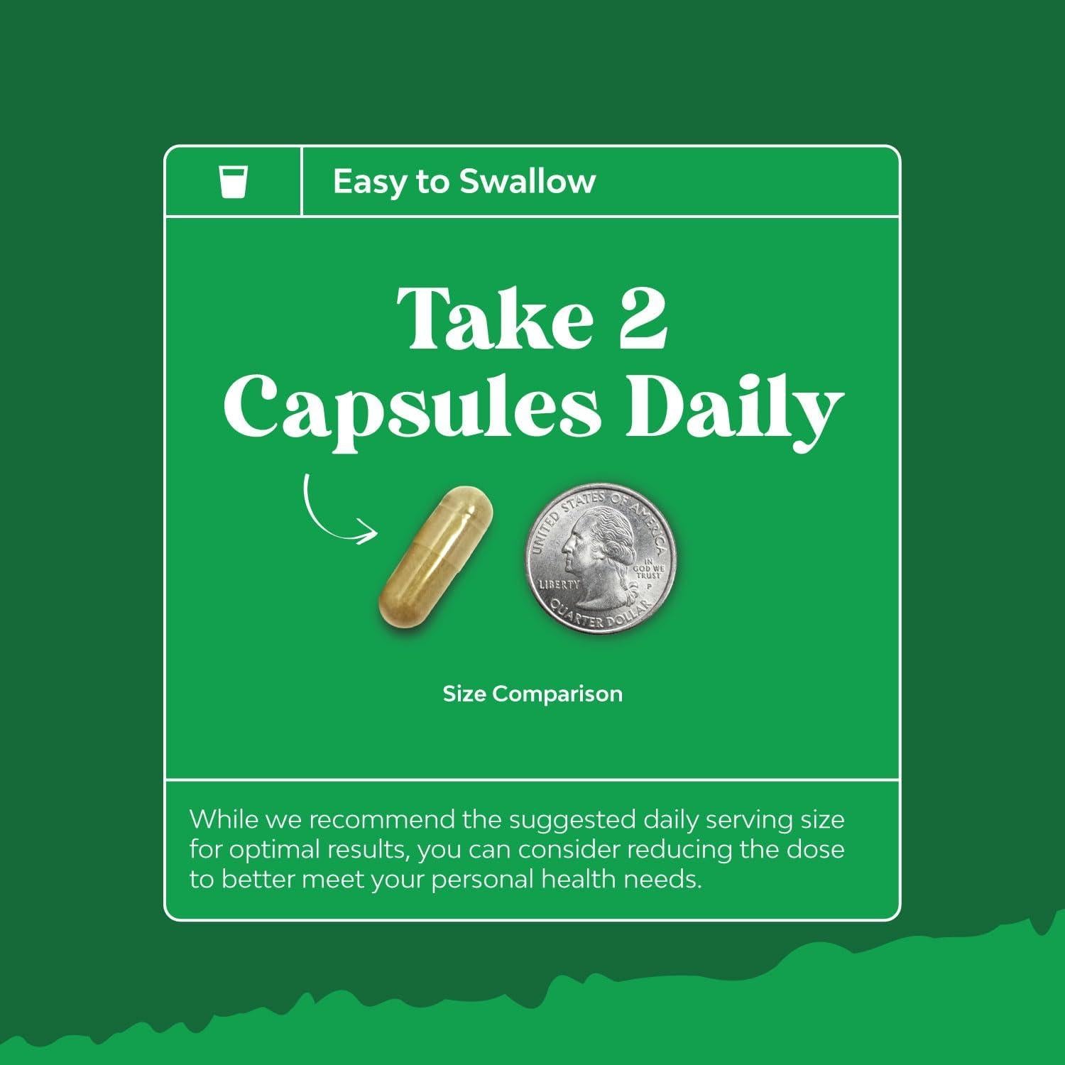 Suplemento Hepático Natures Craft con Cardo Mariano 81g