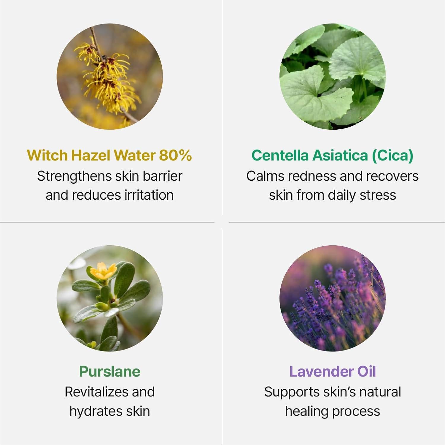 Spray Facial Hidratante Groundplan 20 ml - Multiusos Natural