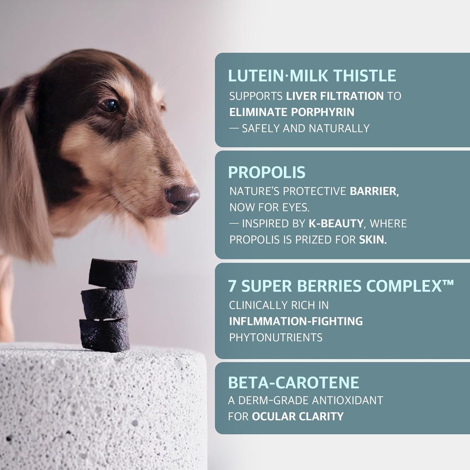 Suplemento Antioxidante para Ojos de Perro Dr.by Eyes Care 70 Chews