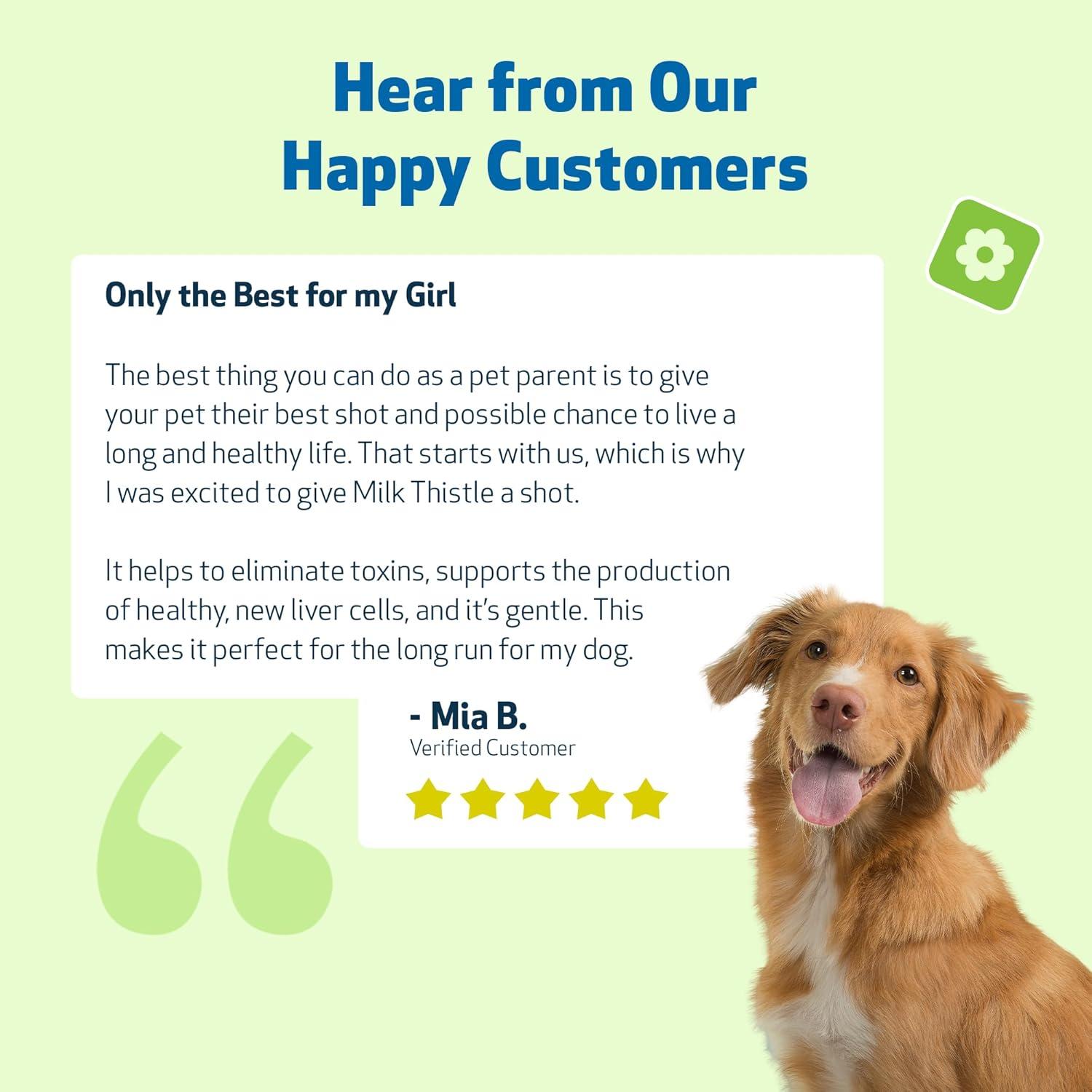 Cardo Mariano Pet Wellbeing 118 ml - Suplemento Hepático Orgánico