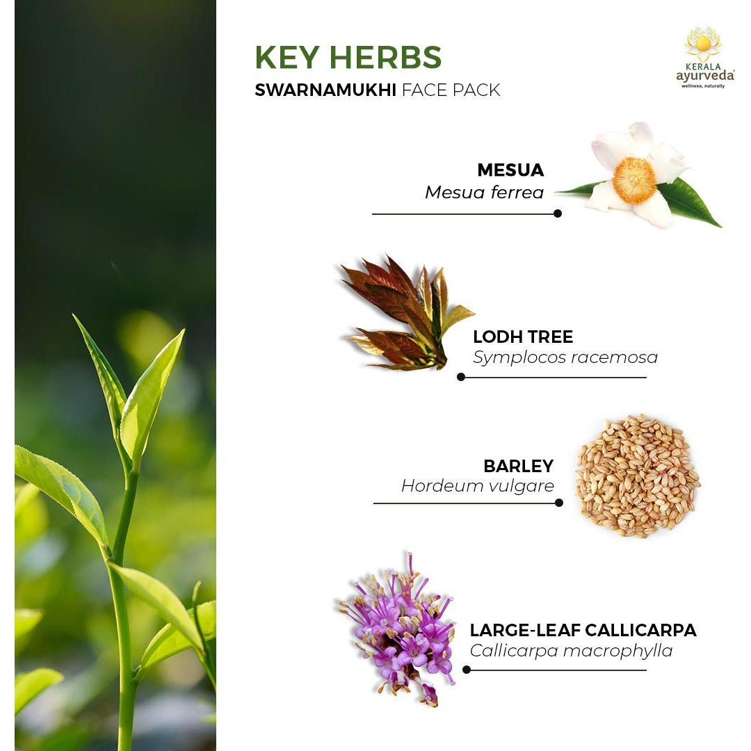 Paquete Facial Swarnamukhi Kerala Ayurveda 48 g - Exfoliante Suave