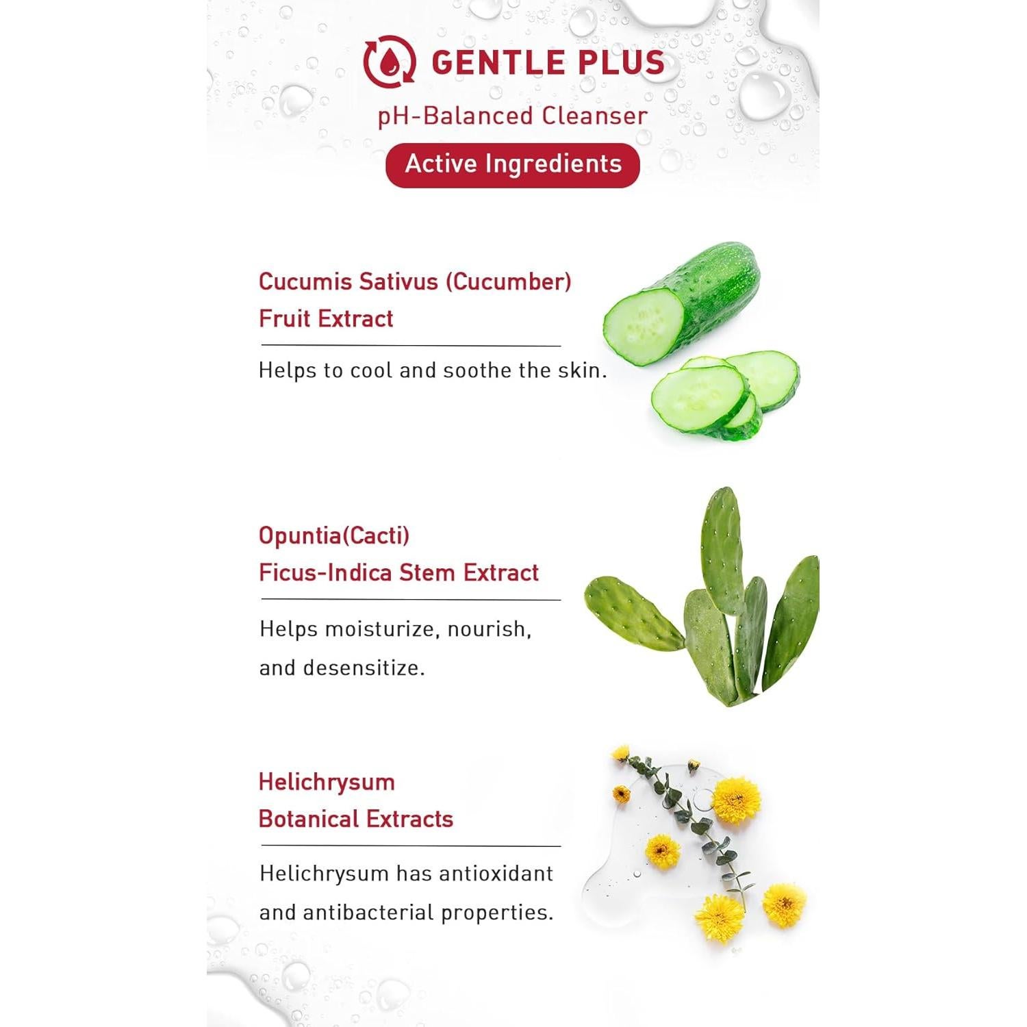 Mousse Limpiadora Suave Menorah - Hidratante Cactus y Pepino