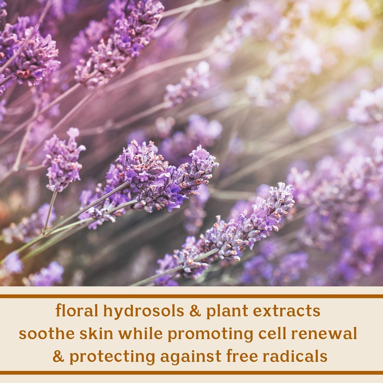 Limpiador Facial Solluna Kimberly Snyder 113g - Hidratante Vegano