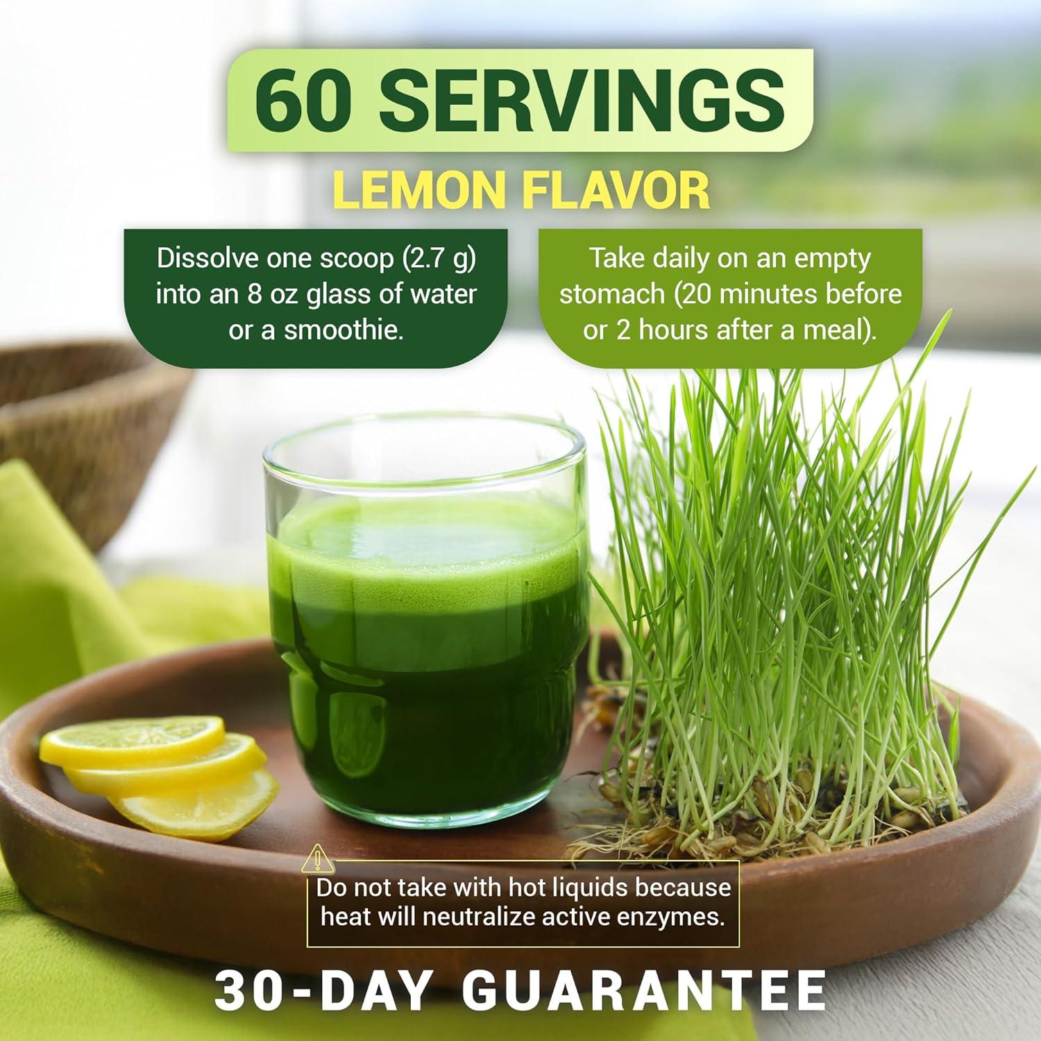 Dr. Berg Polvo Verde Orgánico 60 Porciones - Superalimento