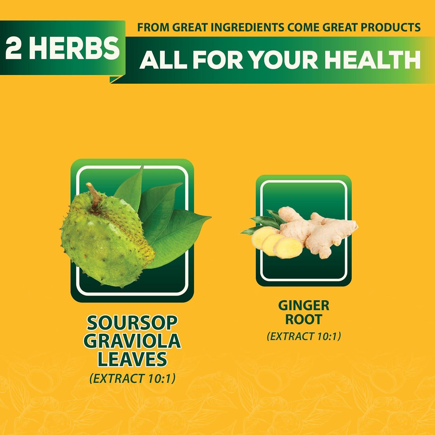 Bolsitas de Té DEDICAD Soursop con Jengibre 30x2g - Sin Cafeína