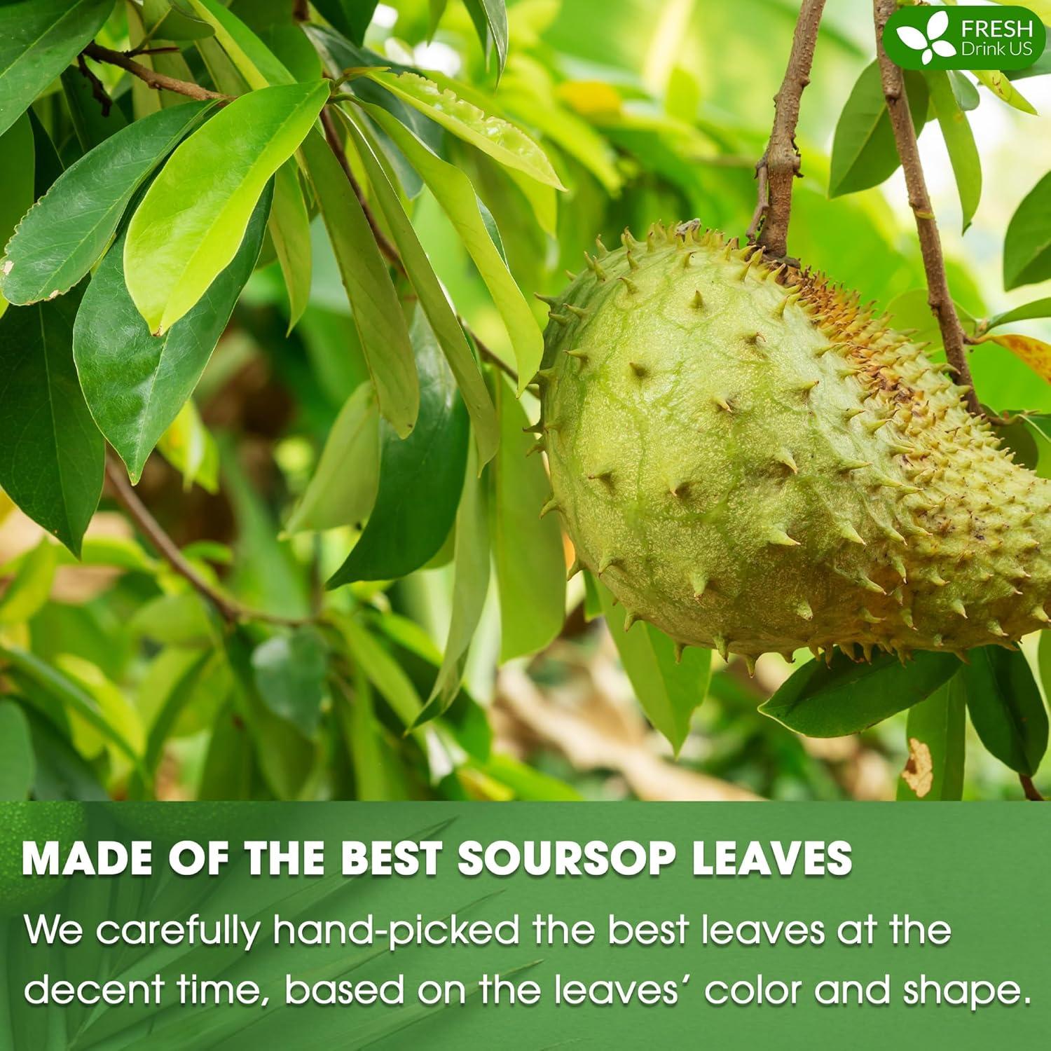 Té de Hojas Secas de Guanábana FreshDrinkUS 330-350 Hojas