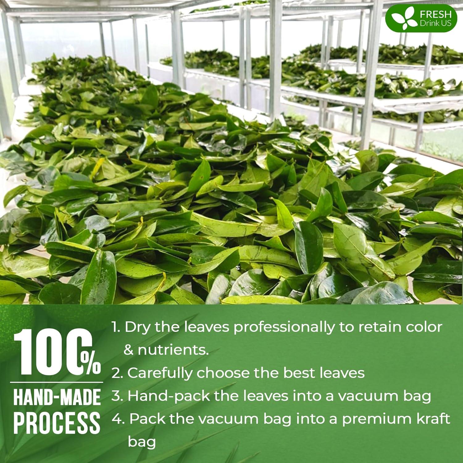 Té de Hojas Secas de Guanábana FreshDrinkUS 330-350 Hojas