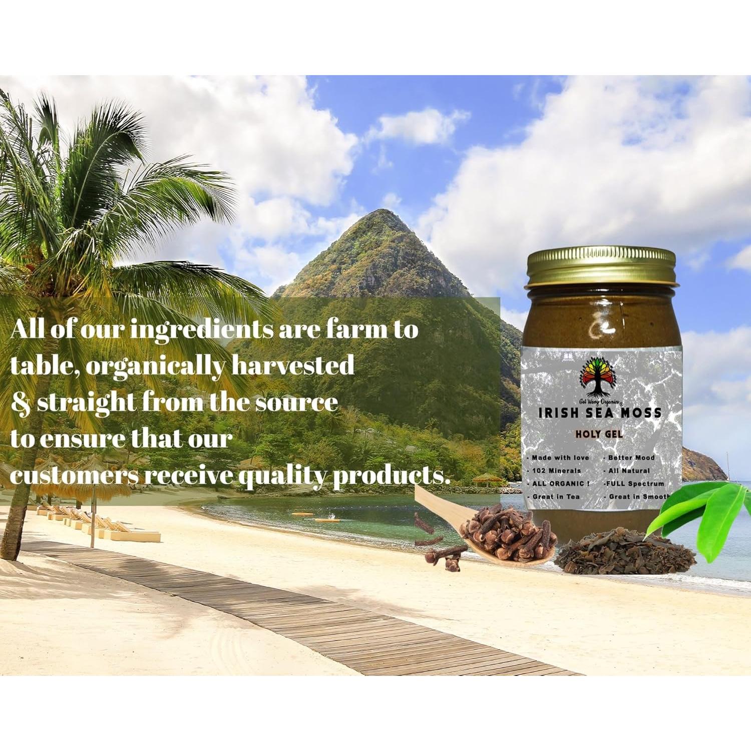 Gel de Musgo Marino Irlandés Orgánico Get Wavy 450g - Suplemento Vegano