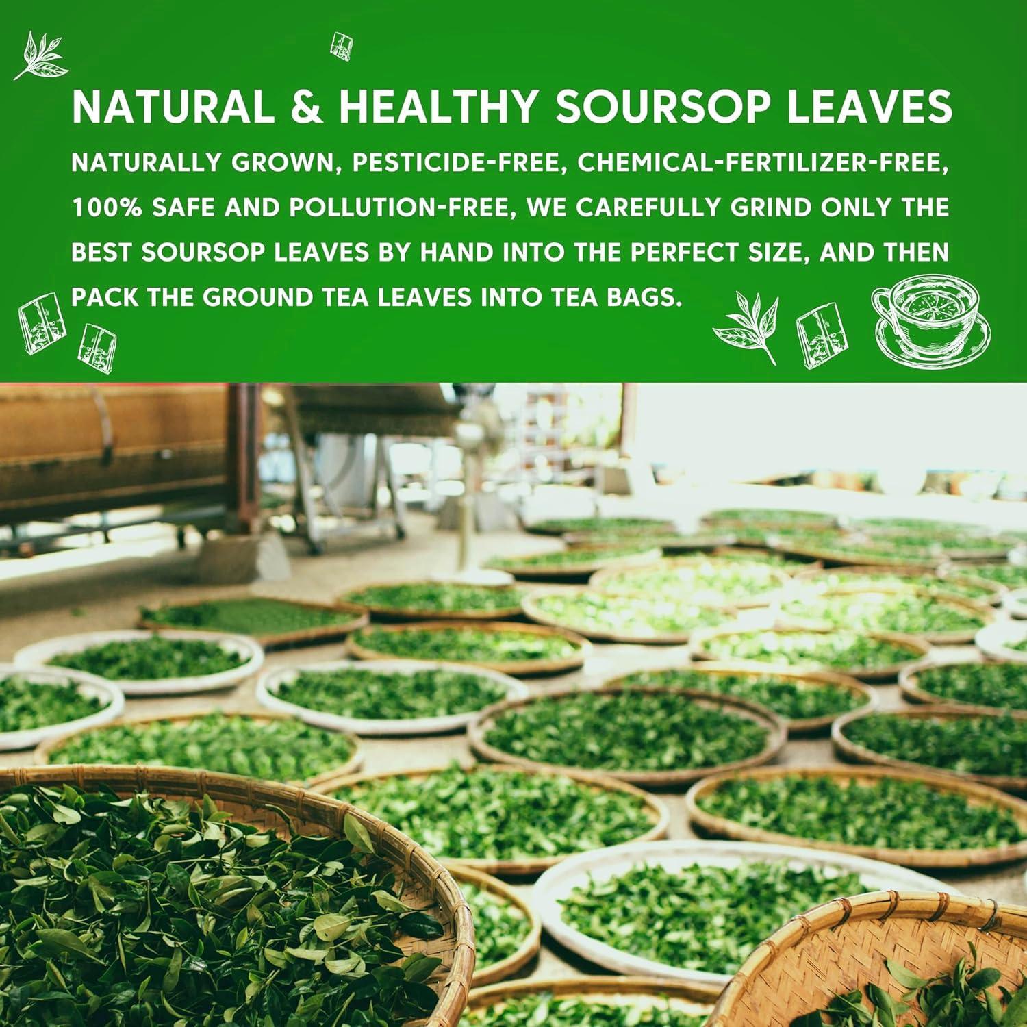 Té de Guanábana Premium Banana Joe - 30 Bolsitas 100% Puro