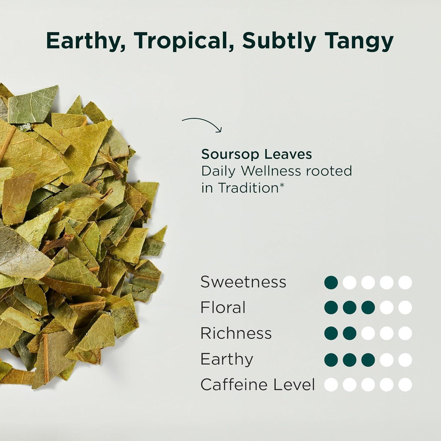 Bolsitas de Té de Guanábana Tea Facto - Paquete de 50 Unidades