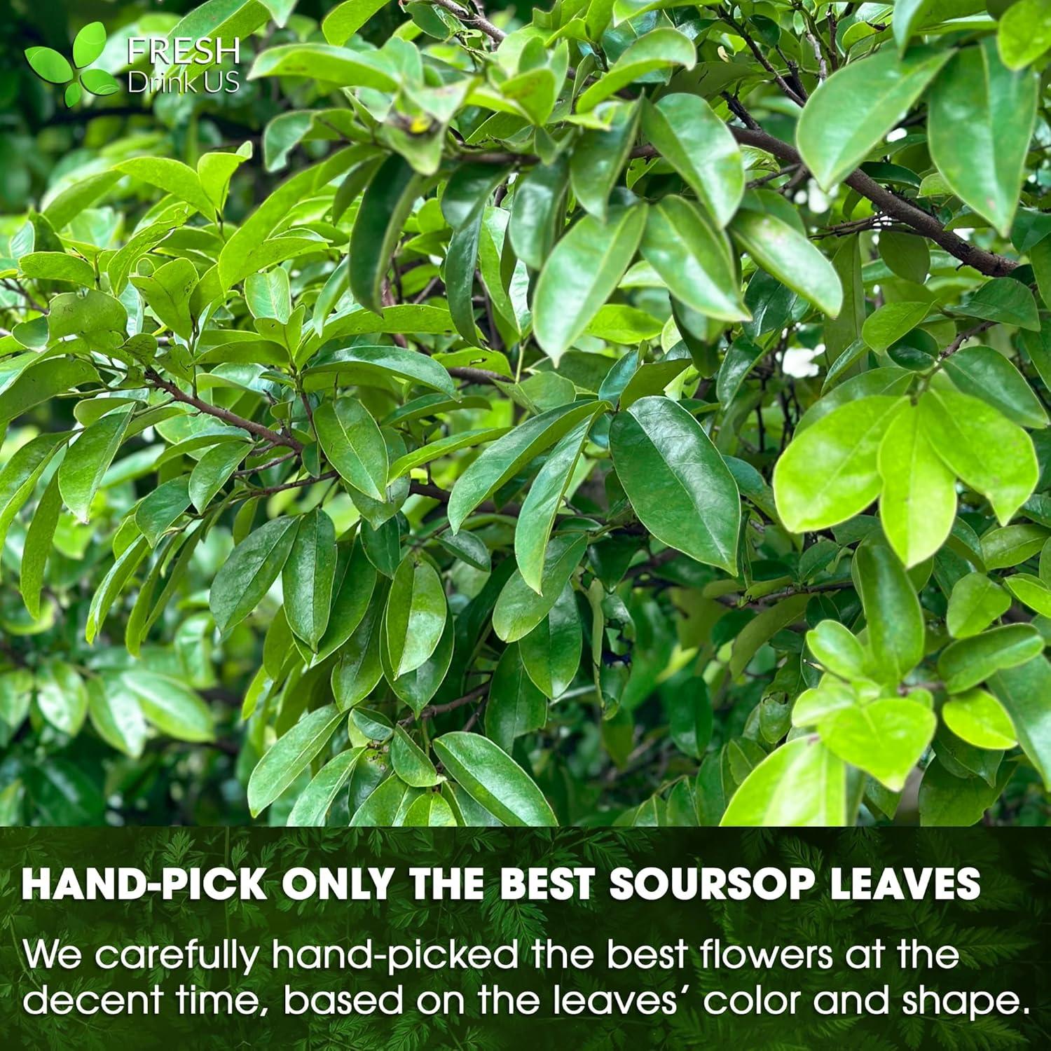 Polvo de Hoja de Guanábana FRESHDRINKUS 28g 100% Natural