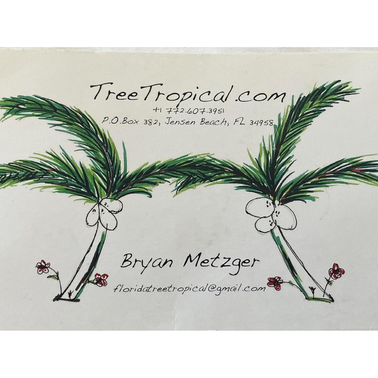 Exfoliante Facial Natural Tree Tropical 42.52 g Orgánico