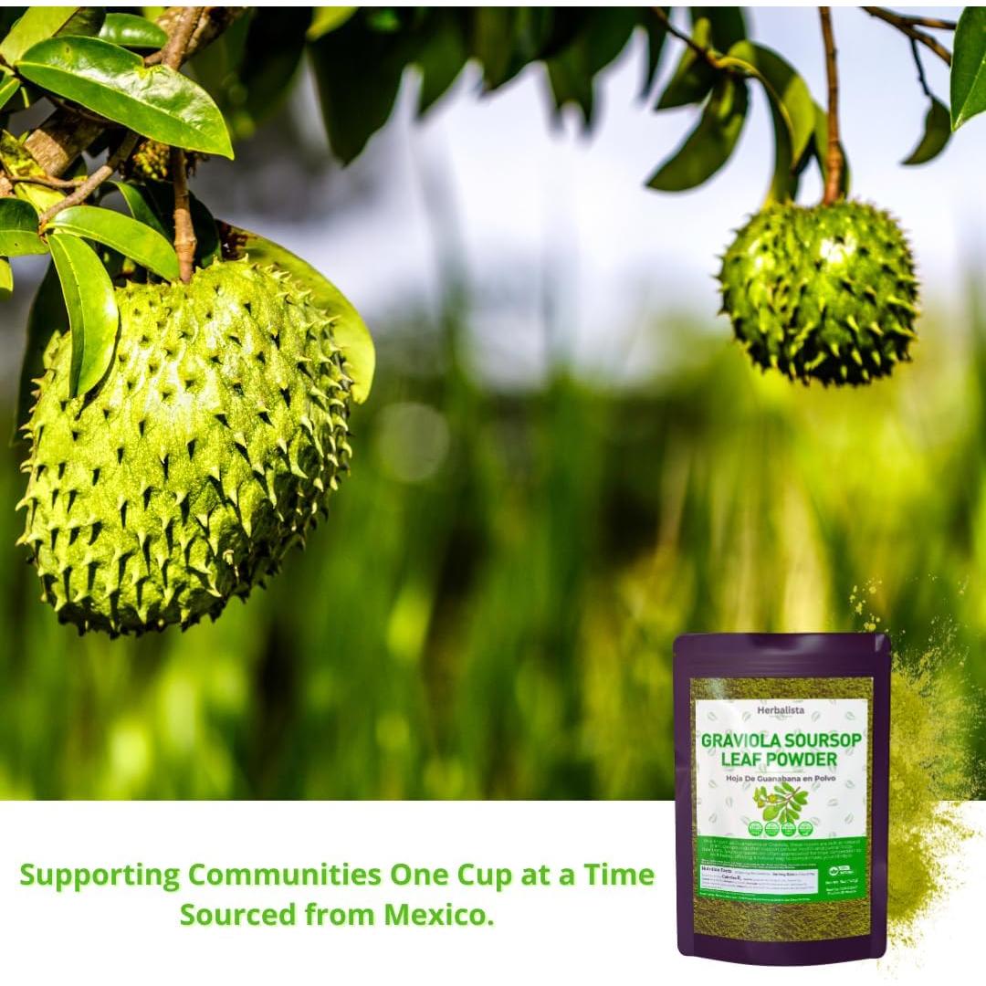 Polvo de Hoja de Guanábana 453g Herbalista - 100% Natural
