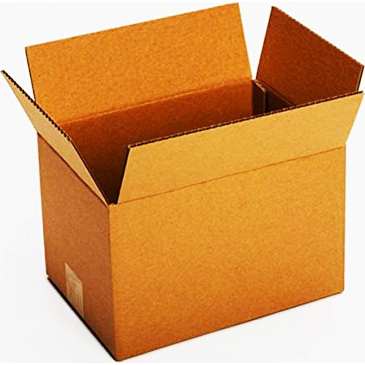 Amla Seco Yuvika 100g - Phyllanthus Emblica - Grosella India